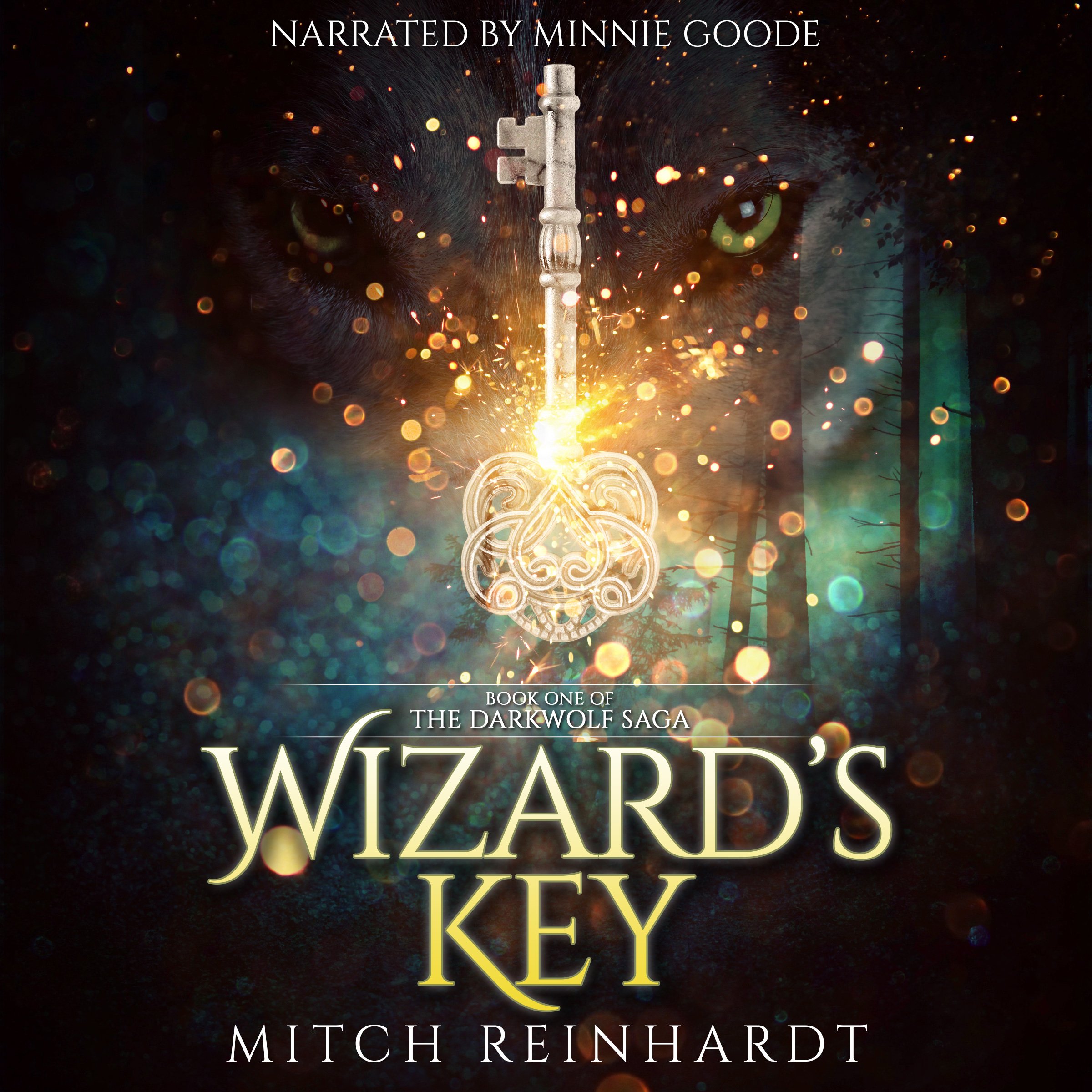 Cover art for Wizard's Key