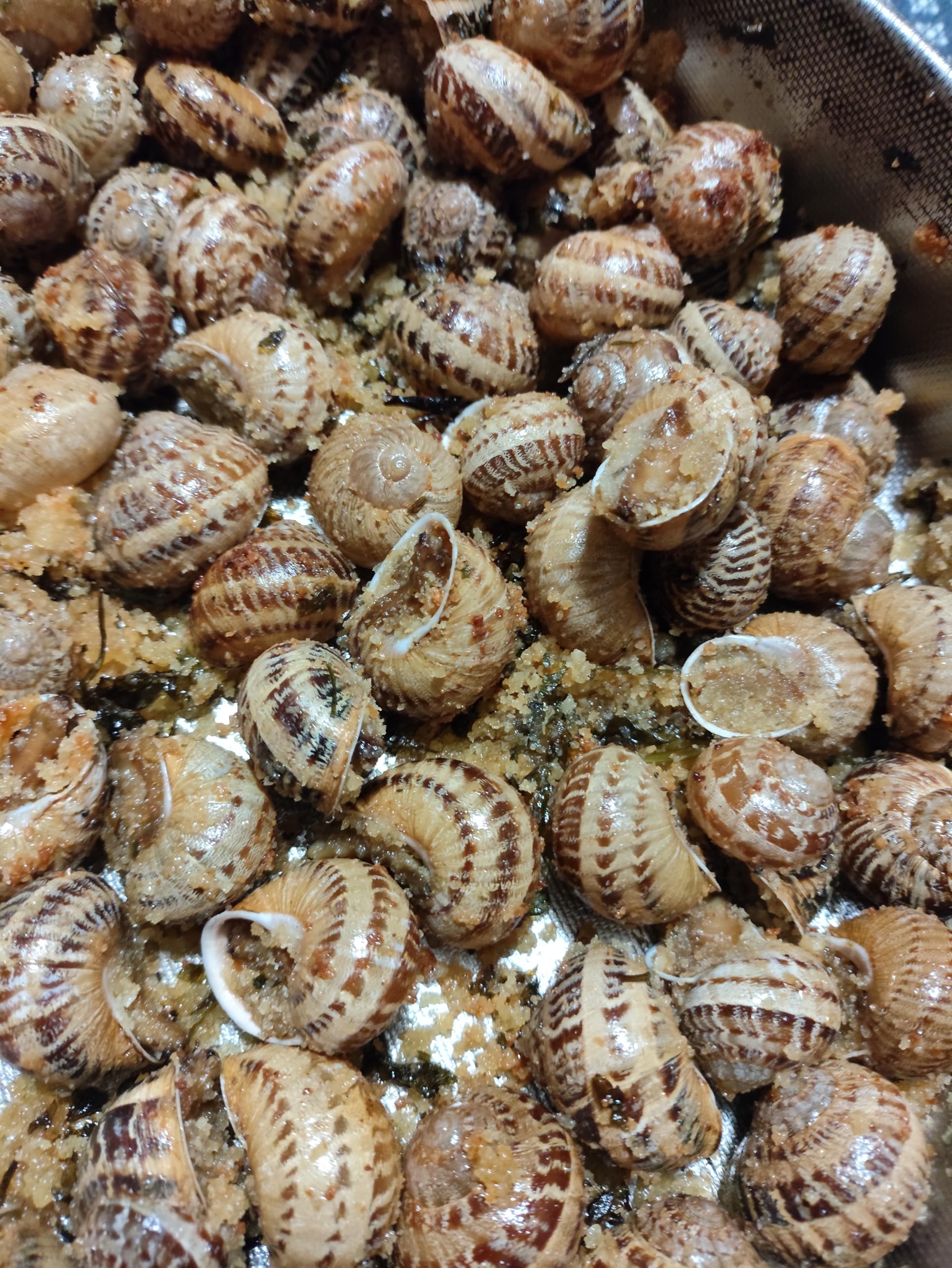 Lumache spurgate-helix aspersa