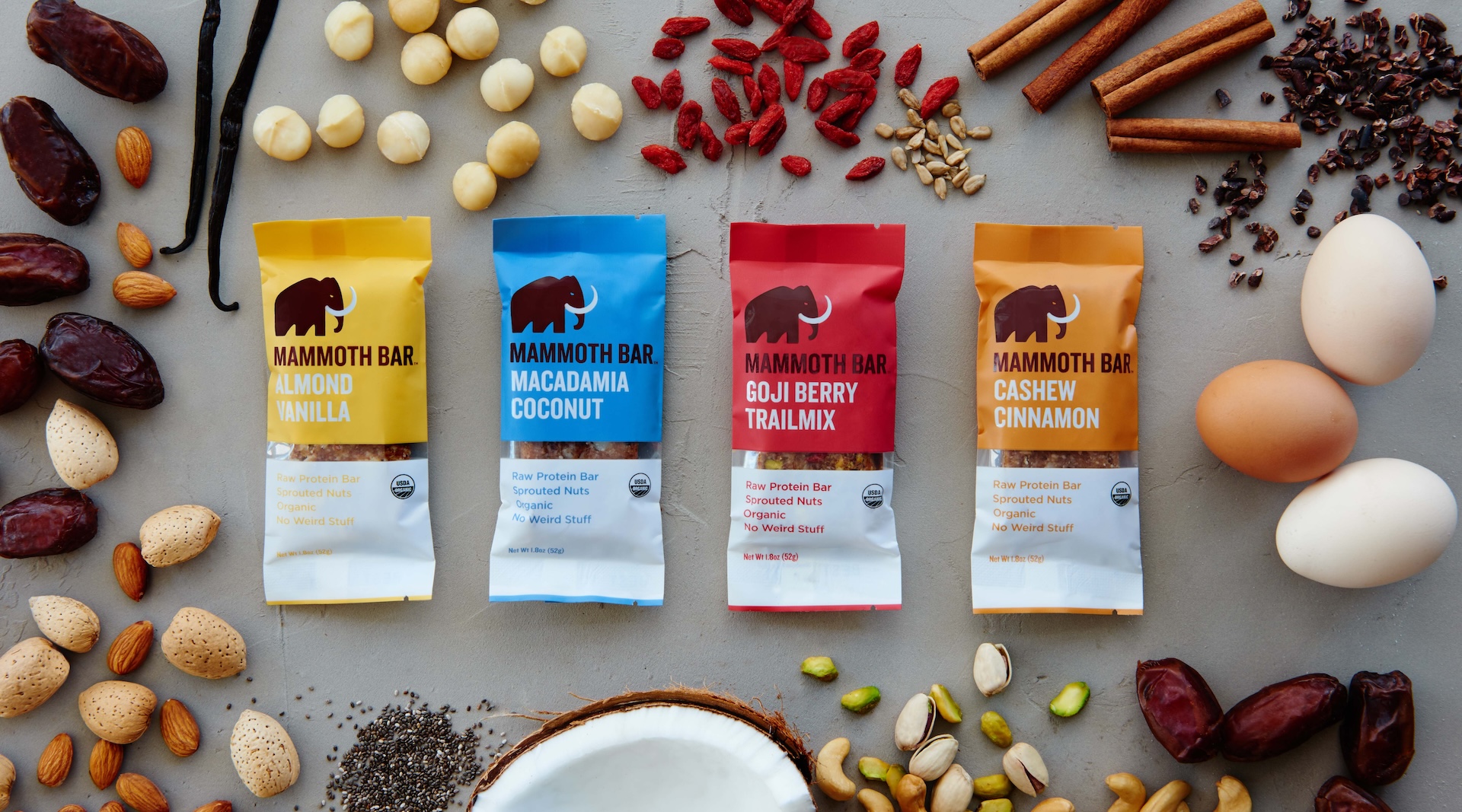Amazon.com : Mammoth Bar Macadamia Coconut Bar - 10 Organic