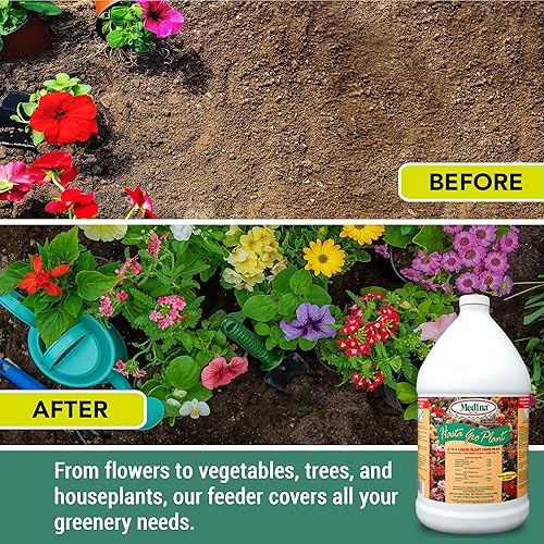 Miniatura 10 de Medina hasta Gro Planta Alimentos para manguera qt