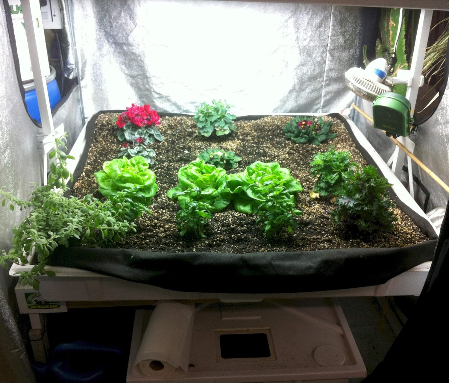 Smart Pot Tray Liner, Raised Bed Flood, 4 ft x 8 ft (48" x 96")