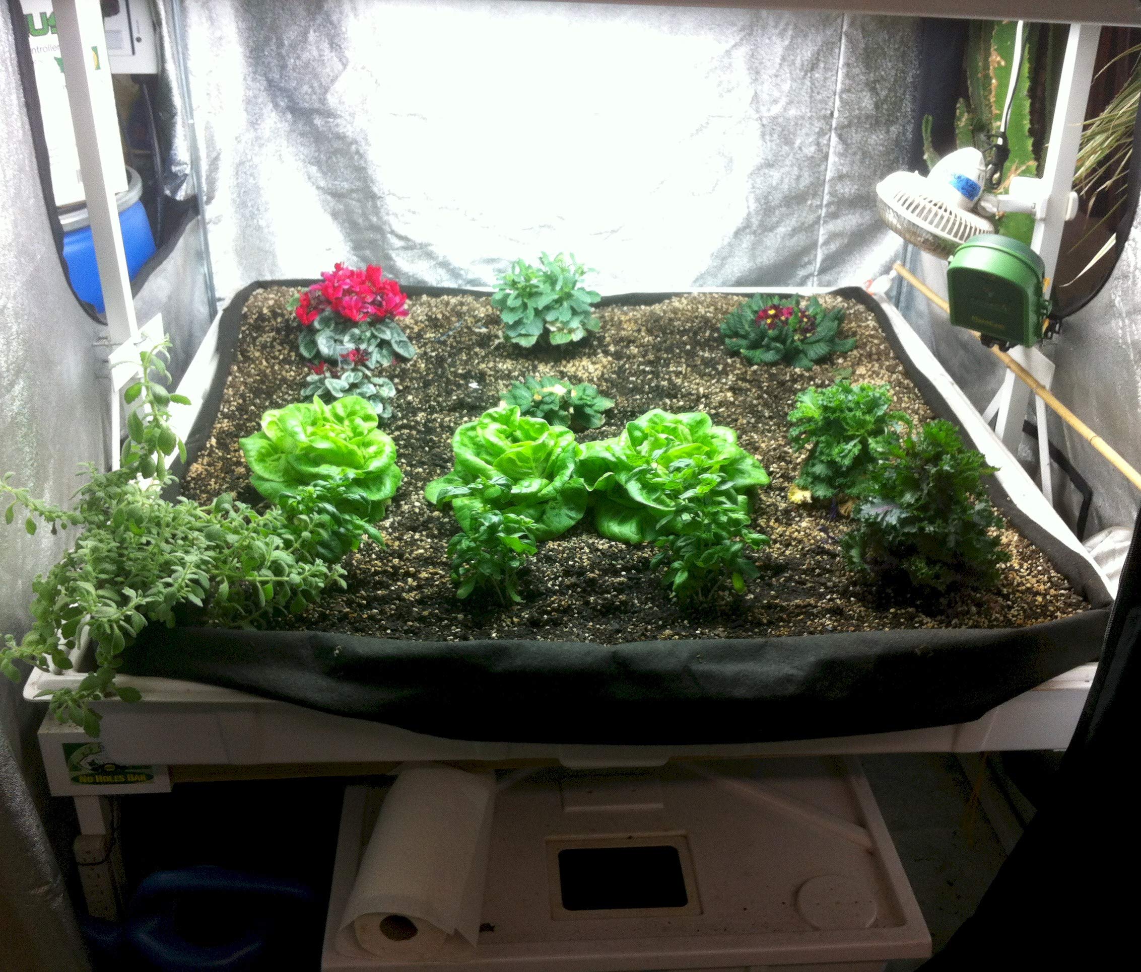Smart Cama de germinación Pot Bandeja Maletero, inundaciones, 4 m x 8 m (48 "x 96")