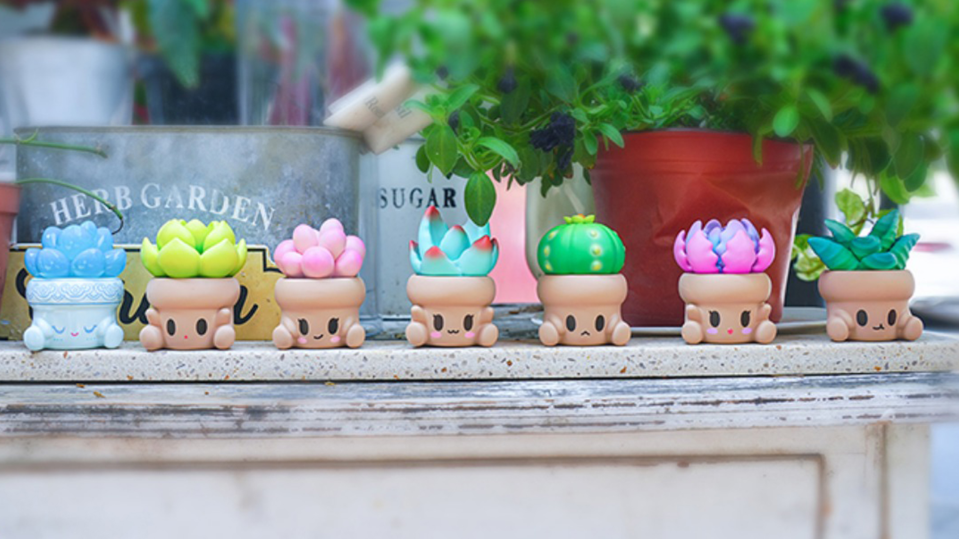 Hugging Succulents Series Blind Box - Pink Confirmed Style Cute Figure, Desktop Decoration Collectible