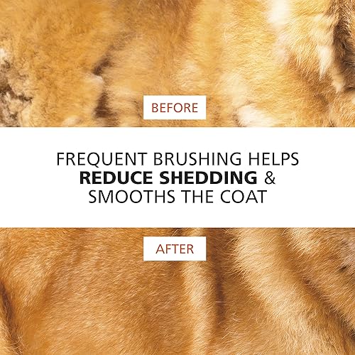 Miniatura 7 de Wahl Deslizador patentado de doble nivel para mascotas de piel sensible – Mango ergonómico que hace que el despelado, aseo y cepillado sea cómodo