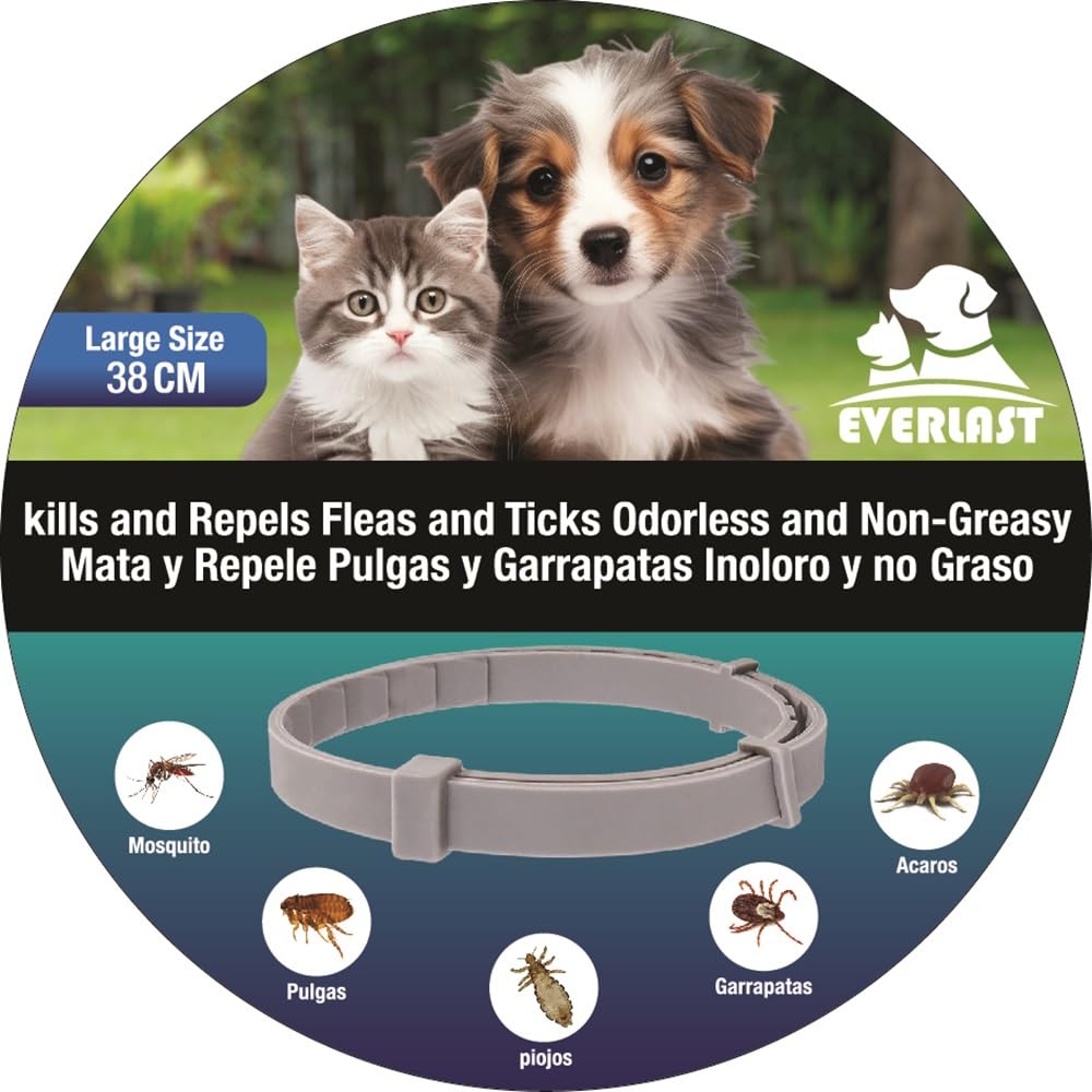 DREEMZ® Collier Anti Puces Pour Chien - Collier Anti Puce Chien - Anti Tiques Haute Qualité - 8 Mois De Protection - 63cm Réglable Toutes Tailles - 100% Naturel - Imperméable Déperlant (1 Unité