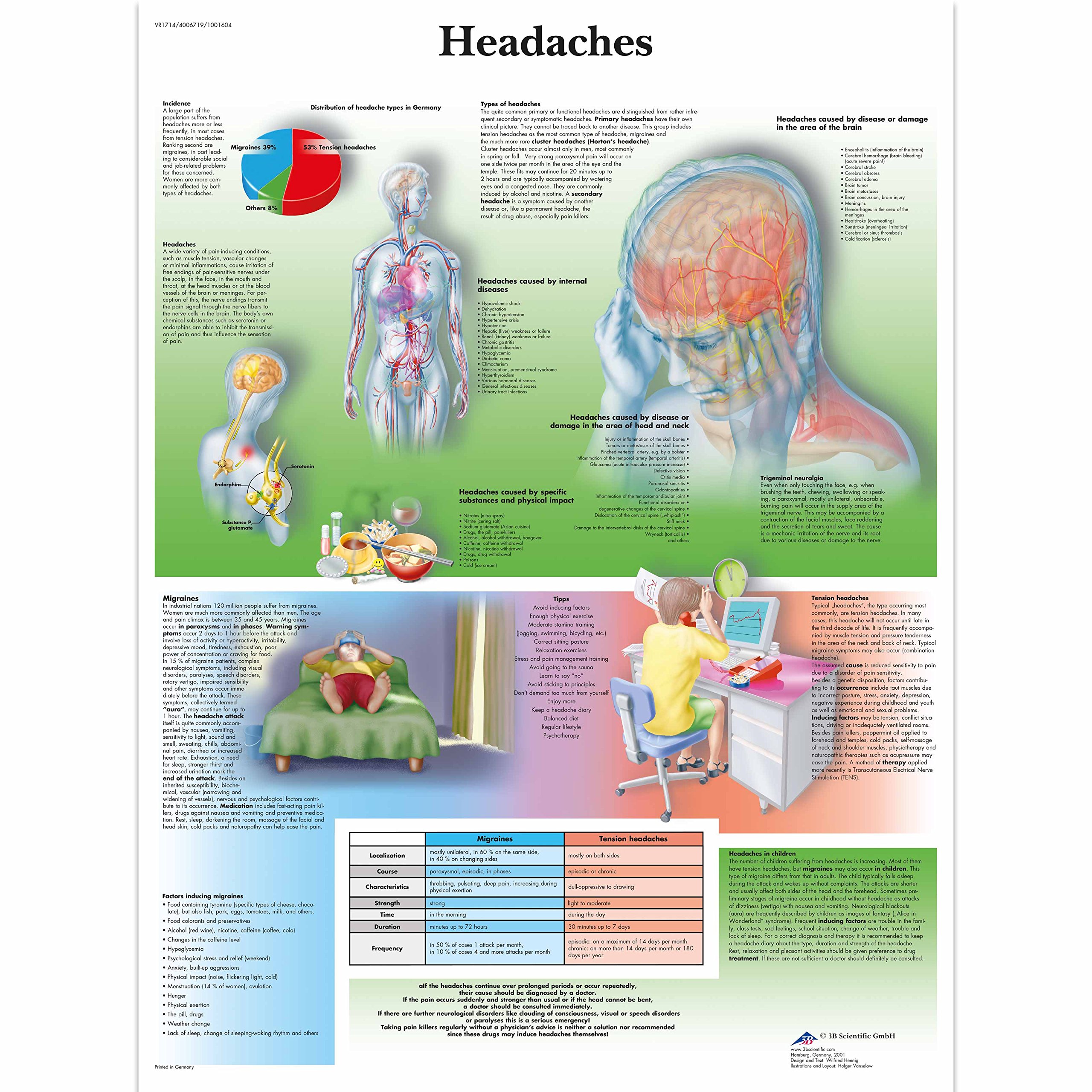 3B Scientific Human Anatomy - Headaches Chart, Paper Version, unlaminated
