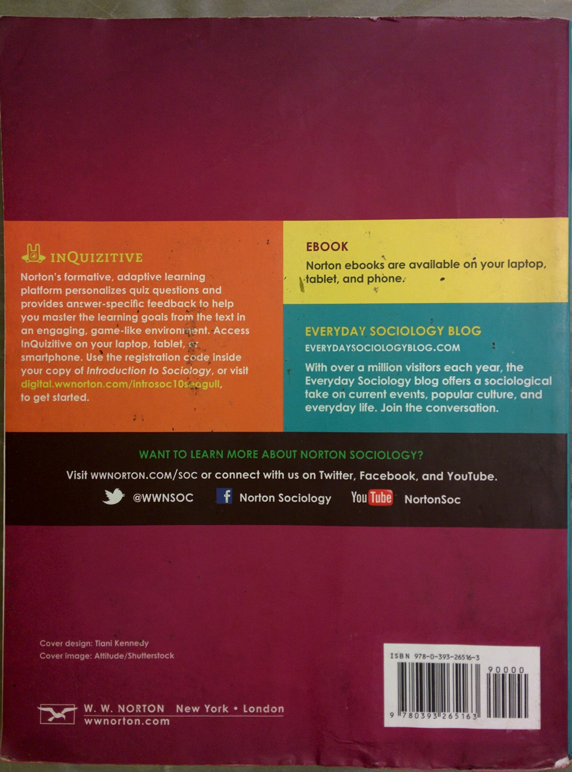 Introduction to Sociology (Seagull Tenth Edition) - Image 3