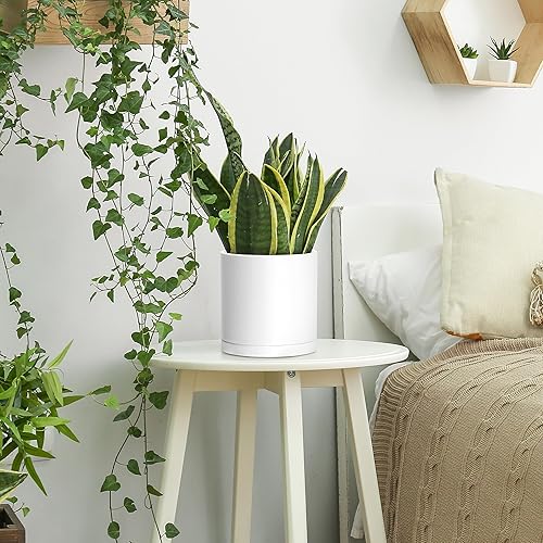 Miniatura 3 de D'vine Dev Paquete de 2 macetas de plástico modernas de 6.5 pulgadas, macetas de jardín pequeñas para plantas con agujeros de drenaje y platillos,