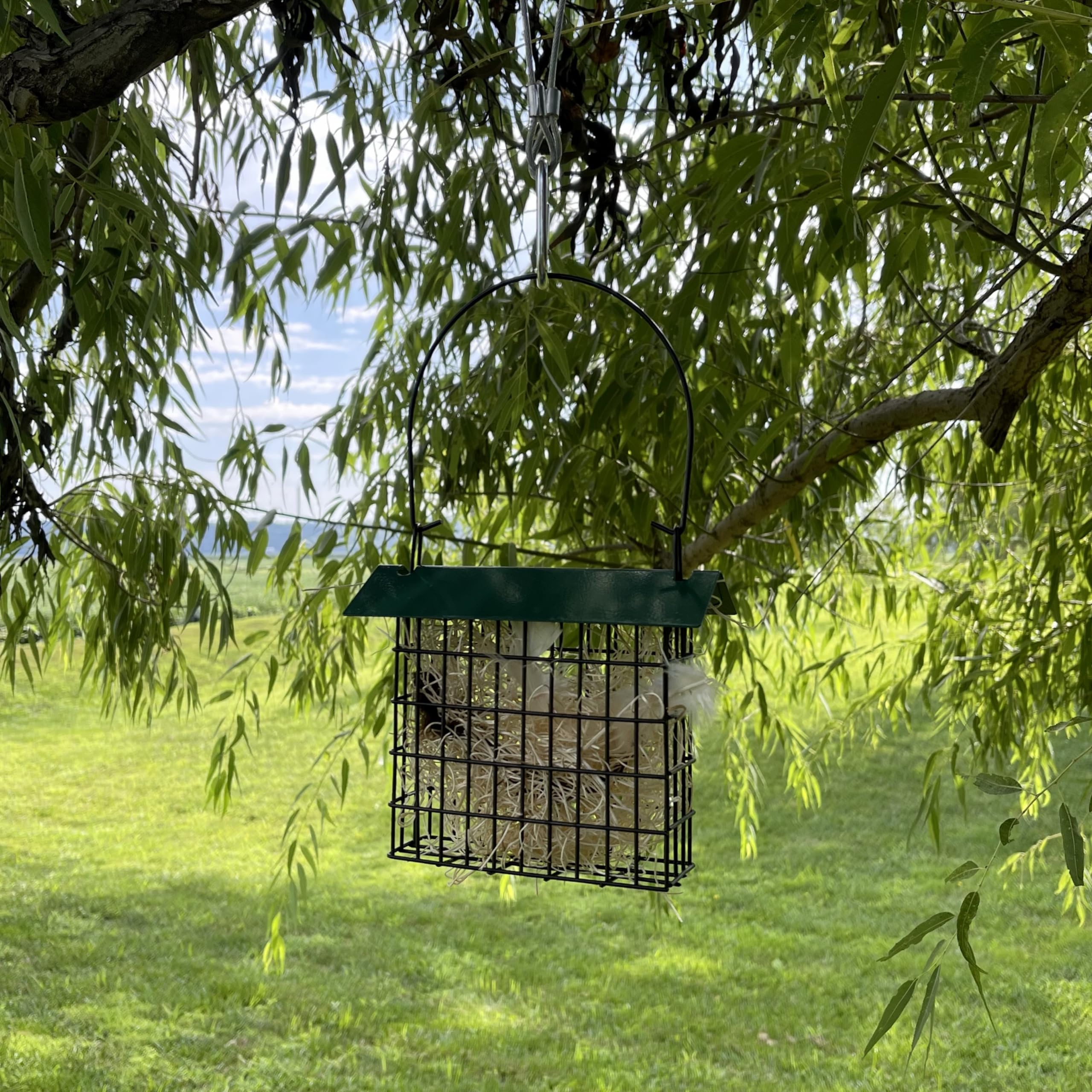 Songbird Essentials Nesting material