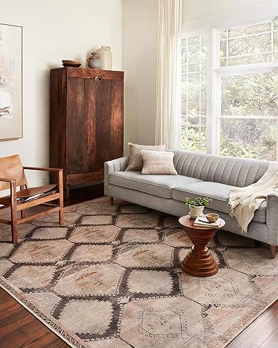 Loloi II colección Wynter WYN-08 - Alfombra decorativa tradicional de 3 pies 6 pulgadas x 5 pies 6 pulgadas, color grafito