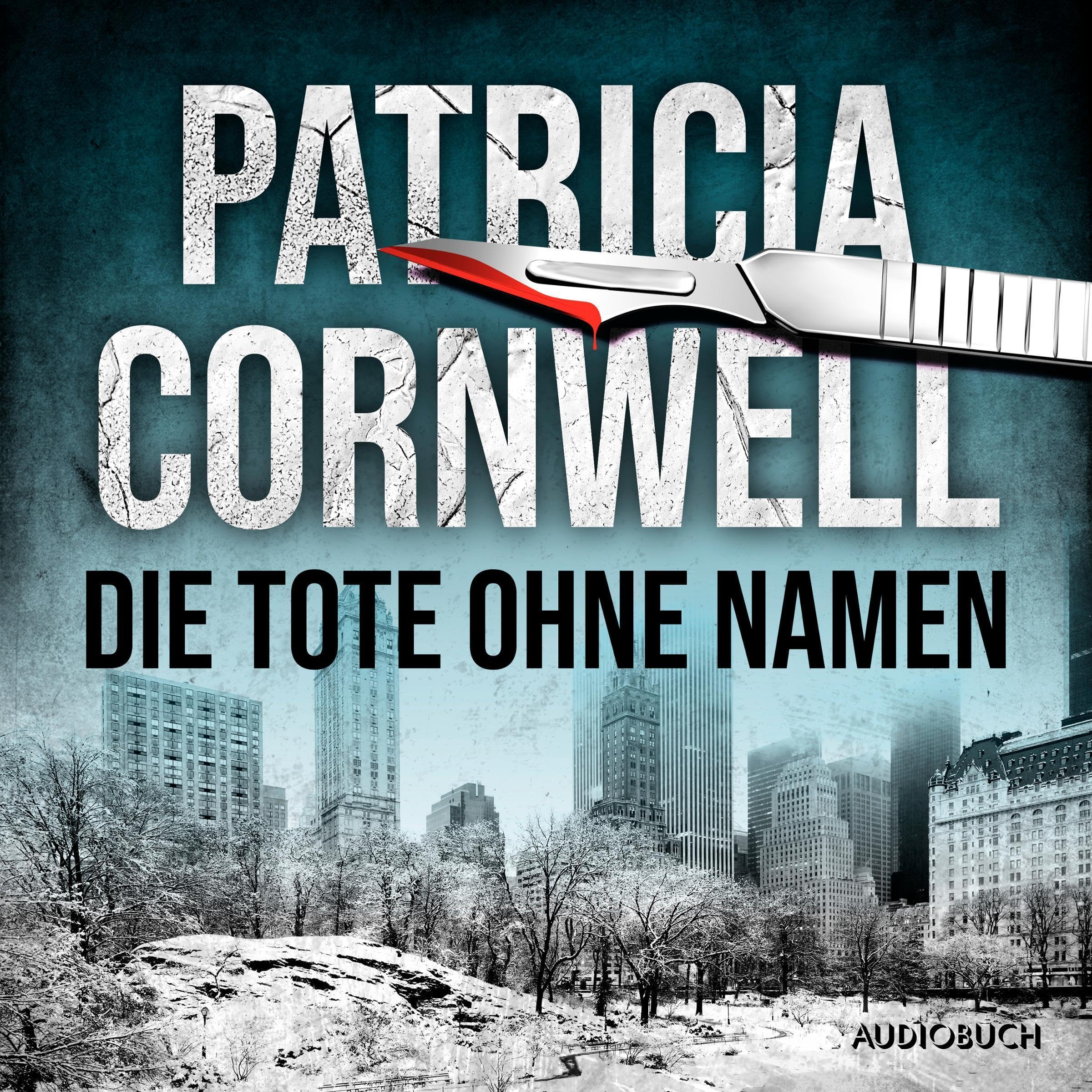 Cover art for Die Tote ohne Namen