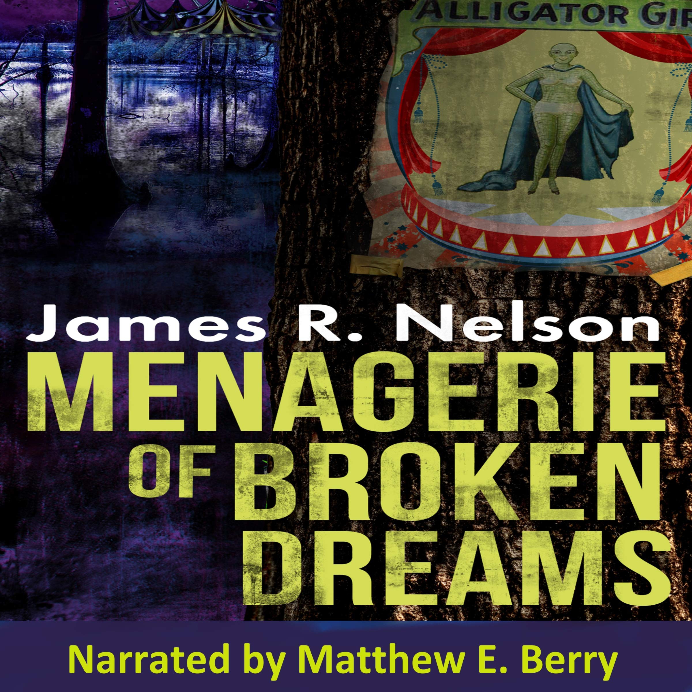 Menagerie of Broken Dreams