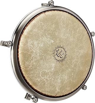 Amazon | Pearl パール トラベルコンガ PTC-1175 | コンガ | 楽器