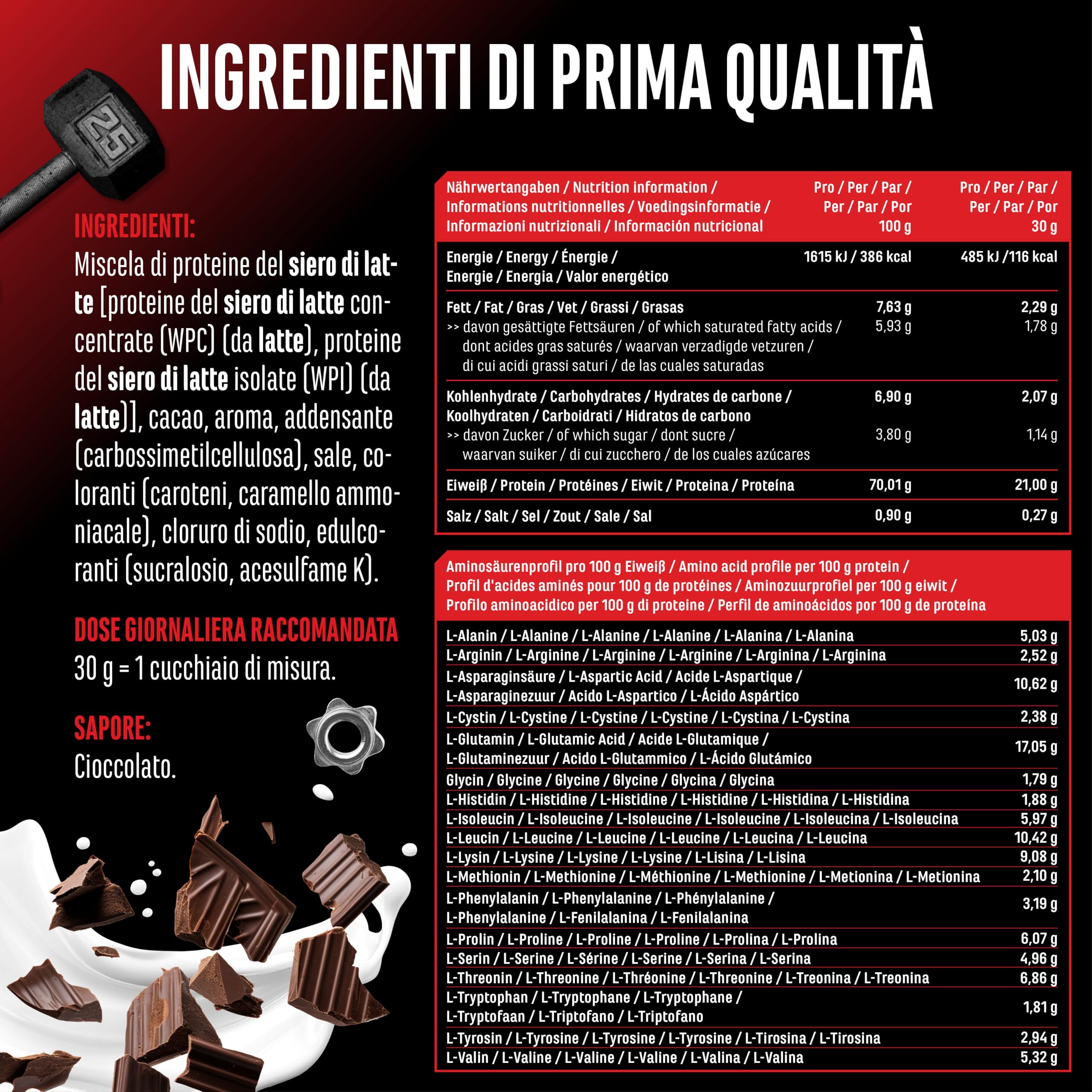 Whey Proteine Complesso - 1000 g (Cioccolato) - Con contenuto isolato - Polvere proteica solubile istantanea con BCAA ed EAA - German Elite Nutrition