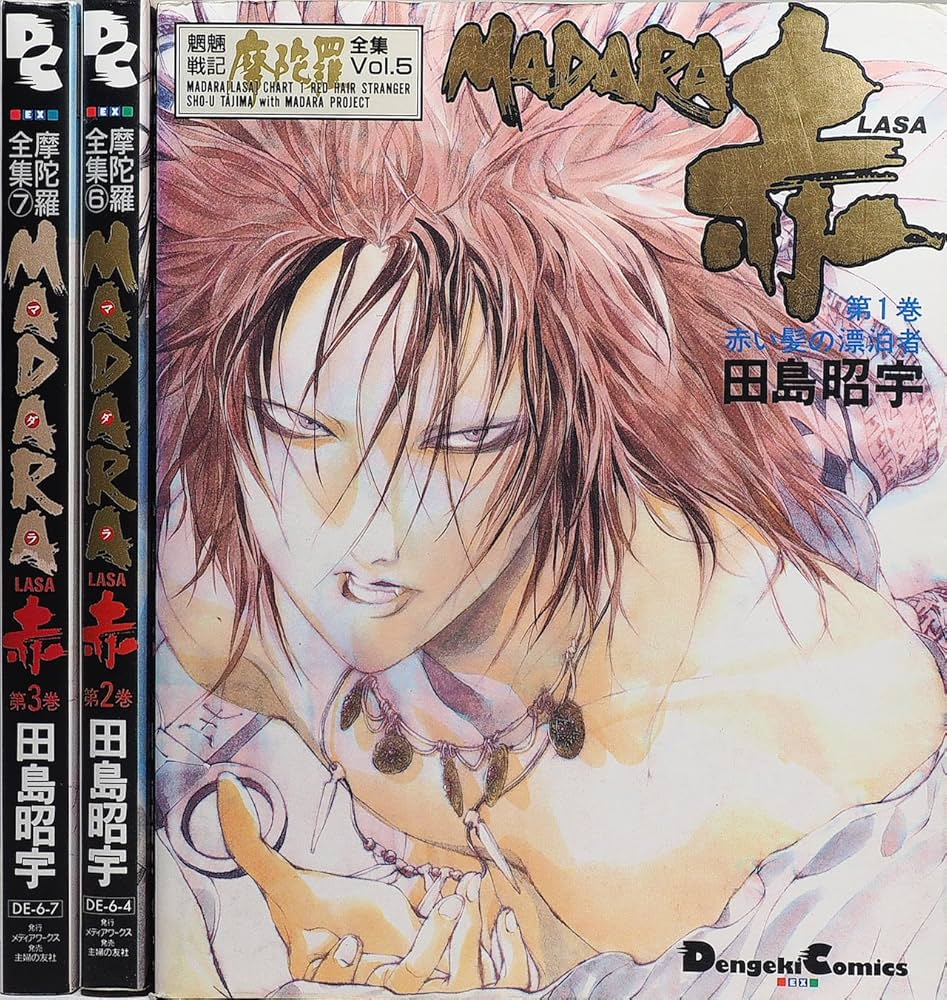 シリーズ完全網羅全12冊✨ MADARA 赤 転生篇 BASARA 田島昭宇 Amazon.co.jp: MADARA ARCHIVES 3 魍魎戦記MADARA赤 (角川