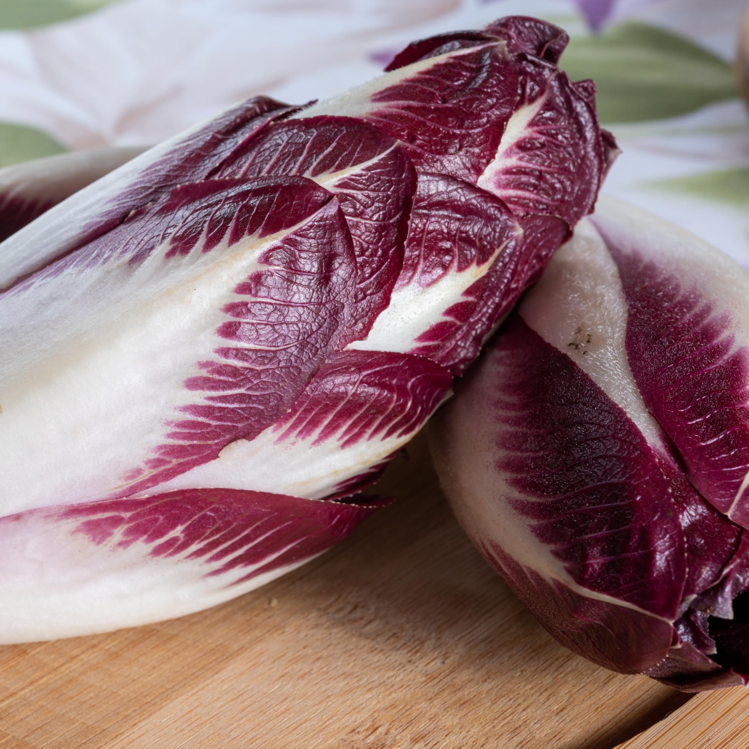 PREMIER SEEDS DIRECT - Chicory - RED/Rossa DI Treviso 206TT - 5 GRAM