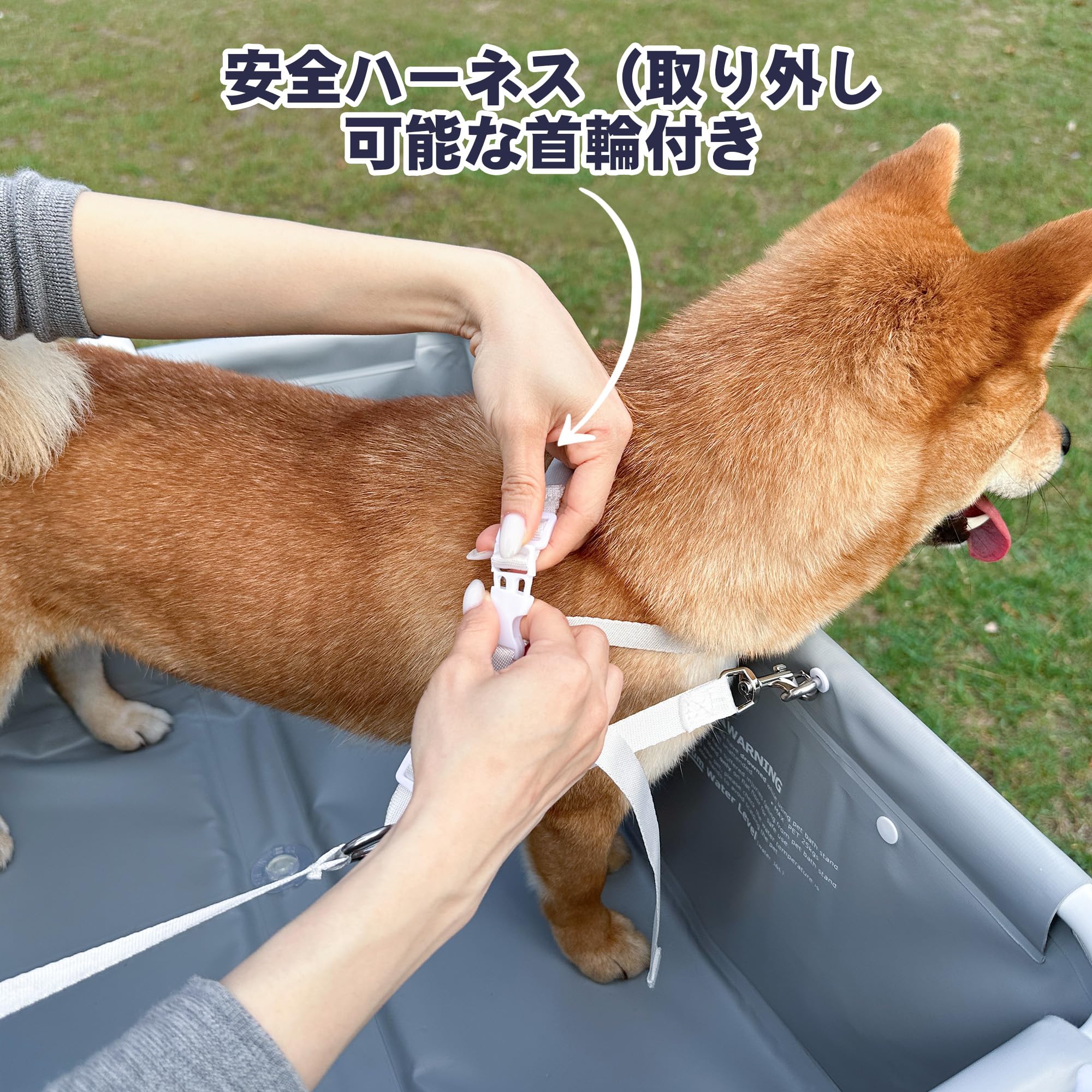 Amazon.co.jp: BEBEROAD PETS B4 犬 バスタプ ペット用バスタプ