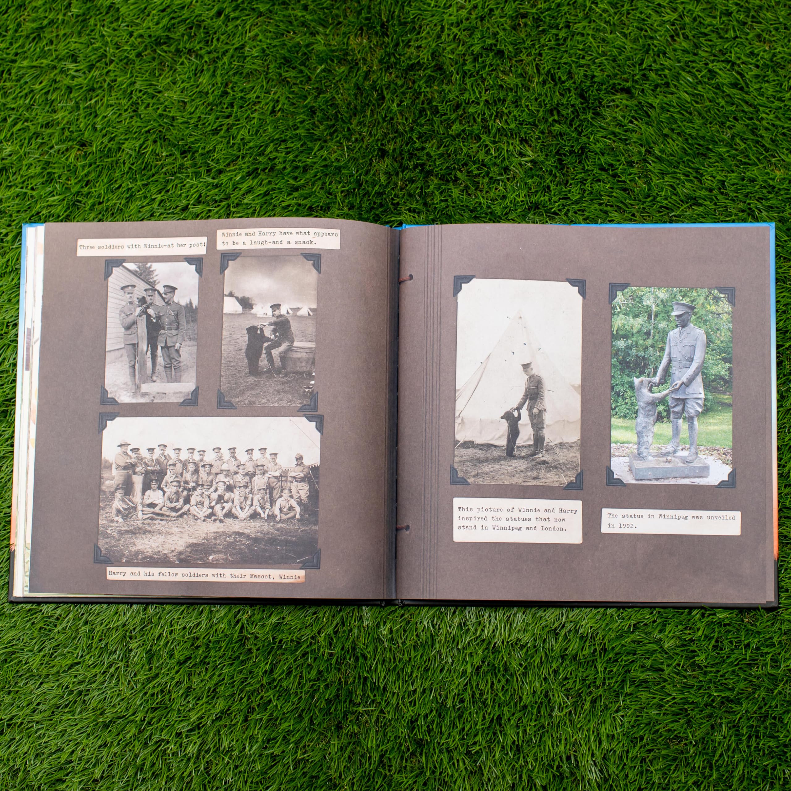 Finding Winnie: The True Story of the World's Most Famous Bear