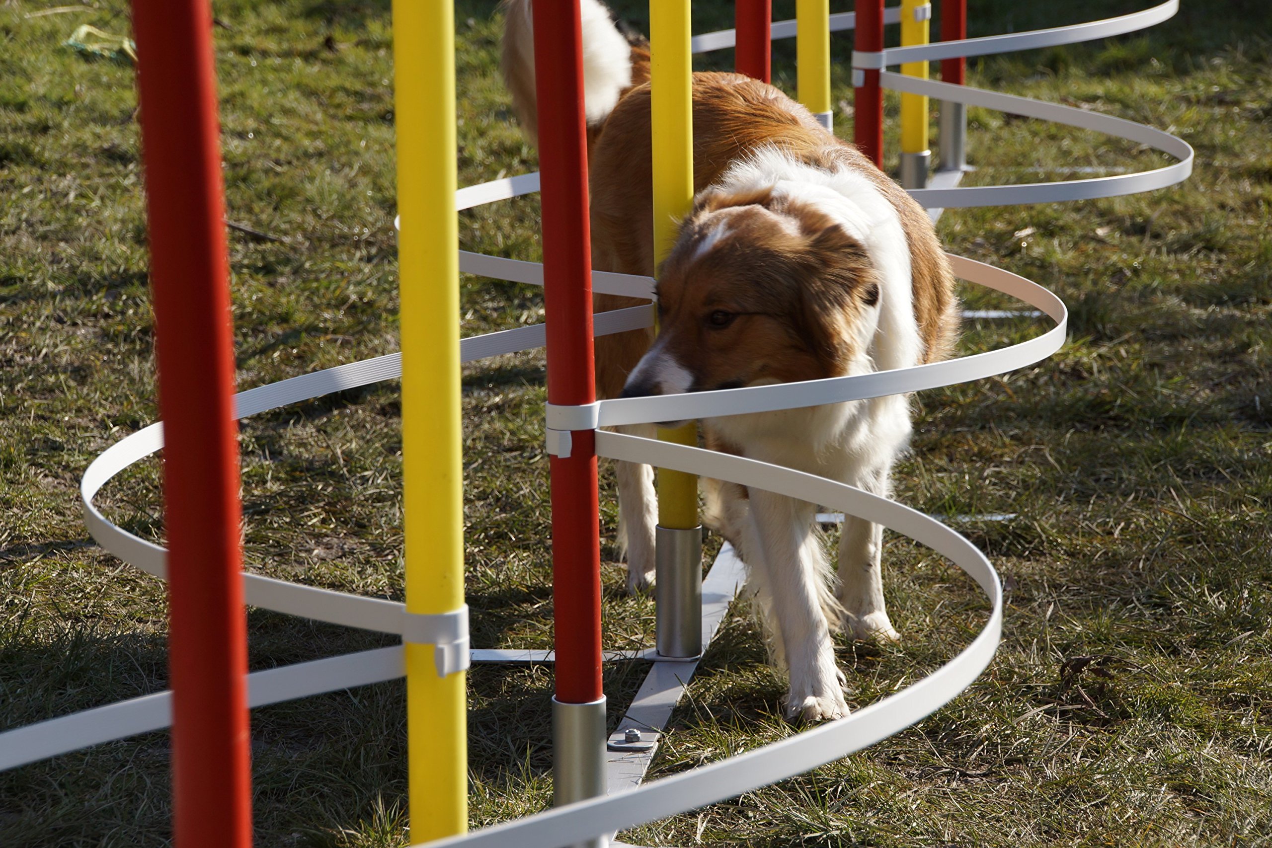 ARCS Slalom Agility/ARCS d'entrainement pour DIAMÈTRE Barre Slalom 30mm - 34mm, sans Barres