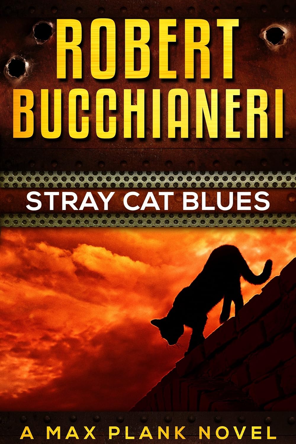 Stray Cat Blues: A Mystery Crime Thriller (Max Plank Mystery Series Book 1)