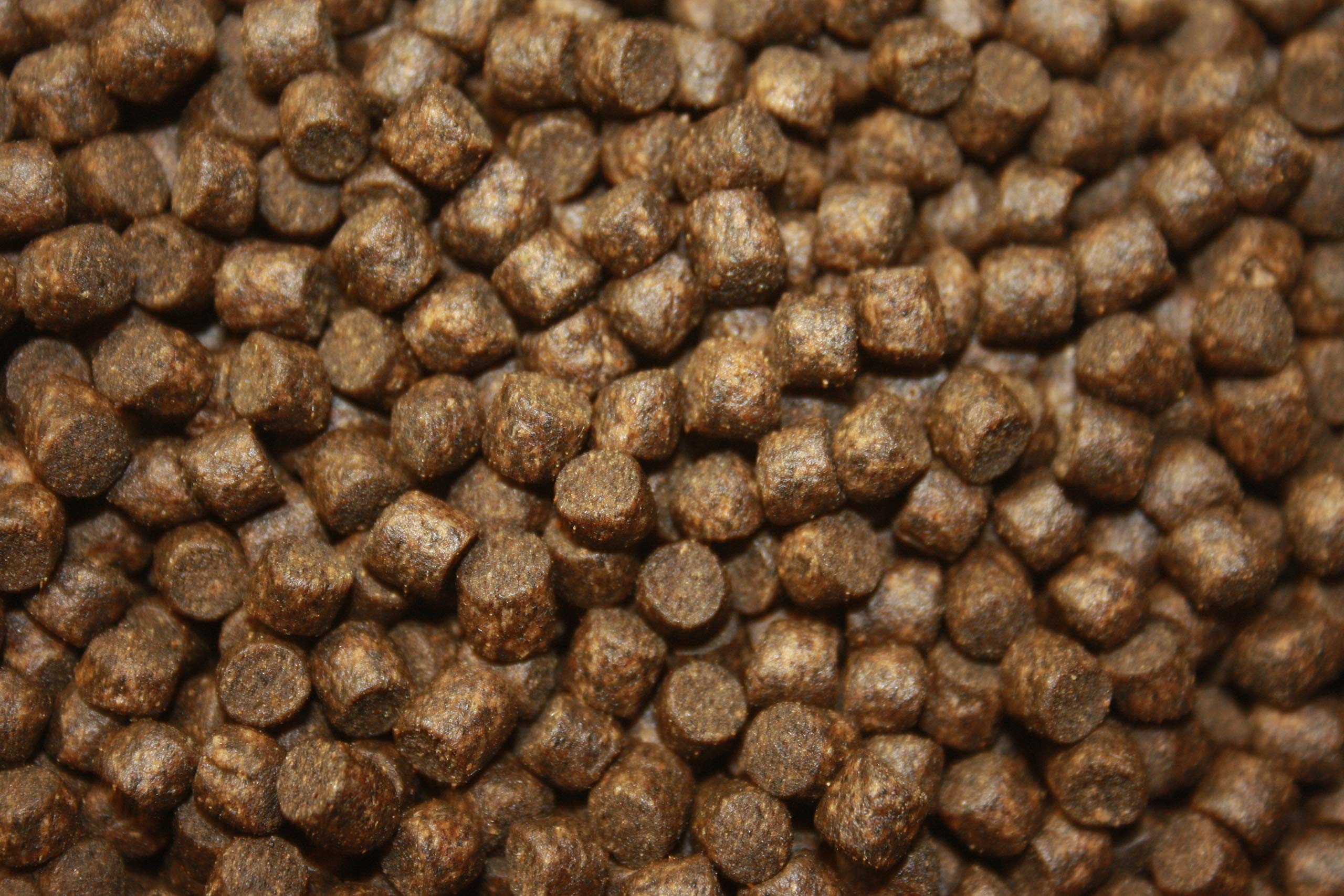 Koifutter für den Herbst, Tomodachi Herbstfutter für Koi, langsam sinkend und energiereich, 10kg