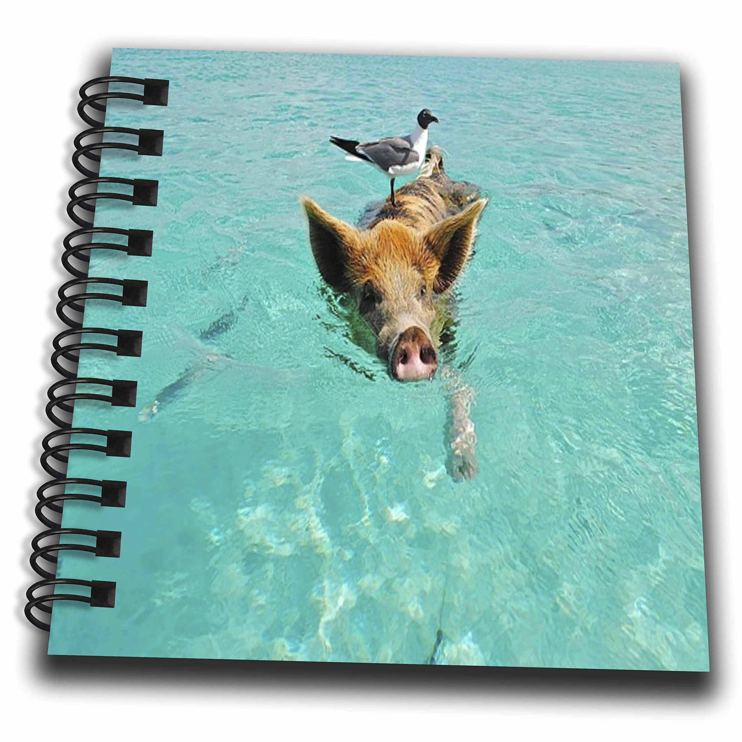 Impression de bain cochon Staniel Cay carnet de poche carré pour vos listes de courses