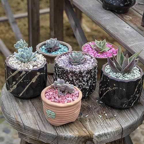 Miniatura 5 de Piezas rotas, conchas trituradas de 23 onzas, manualidades de arte de resina, rellenos de cuencos de florero, cubierta de suelo para plantas