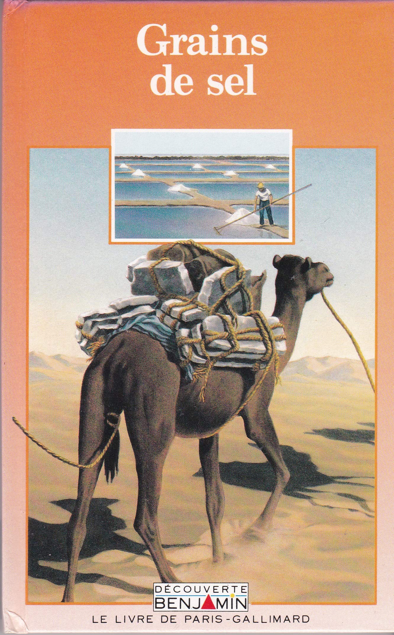 GRAINS DE SEL [Paperback]