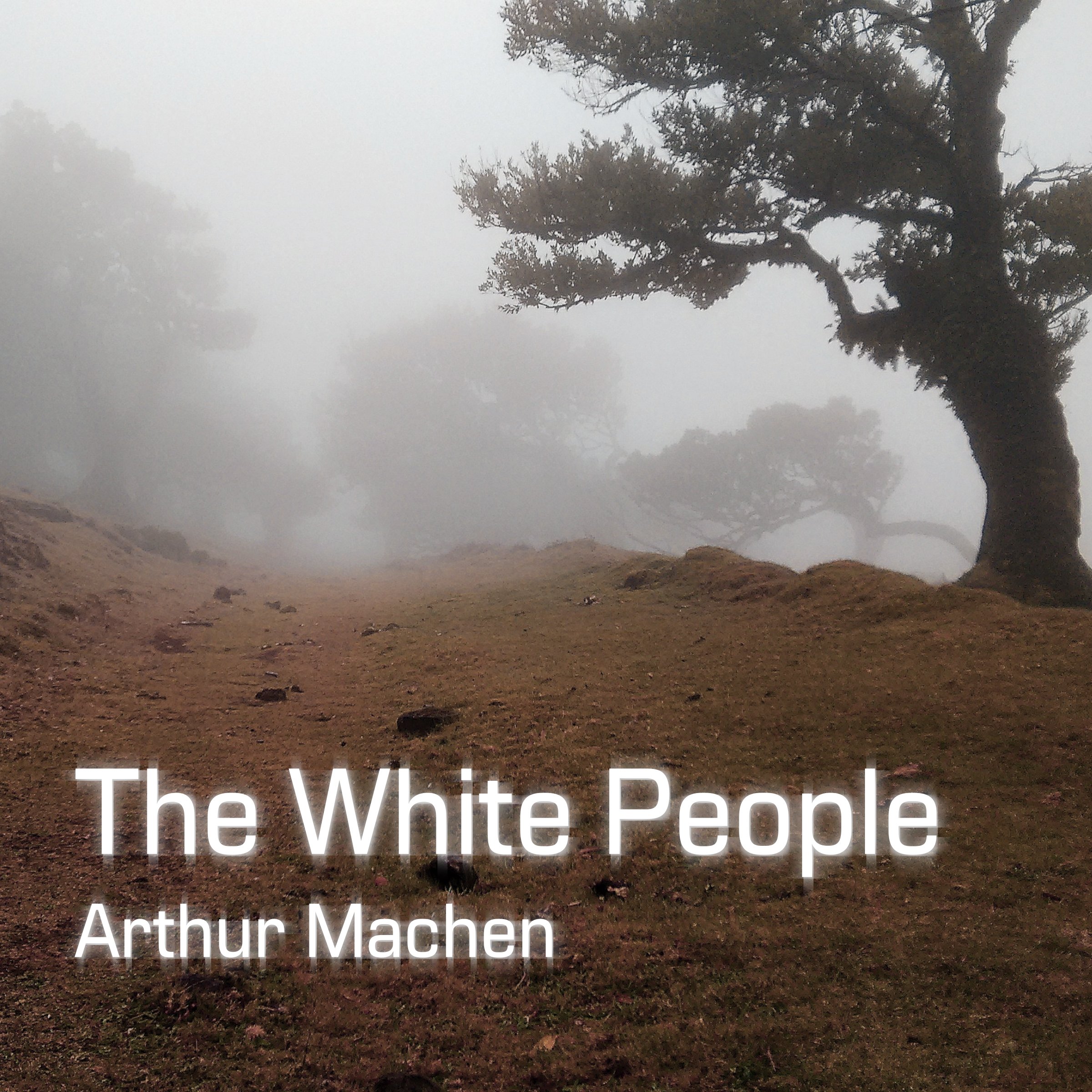 Cover art for The White People