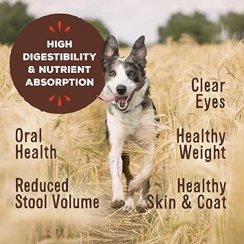 Primal Freeze Dried Raw Dog Food Nuggets Premium Protein Bundle, Venison, Lamb, Rabbit - Complete & Balanced Meal, Topper or Treat, Premium, Healthy, Grain Free, High Protein, 14 oz Each