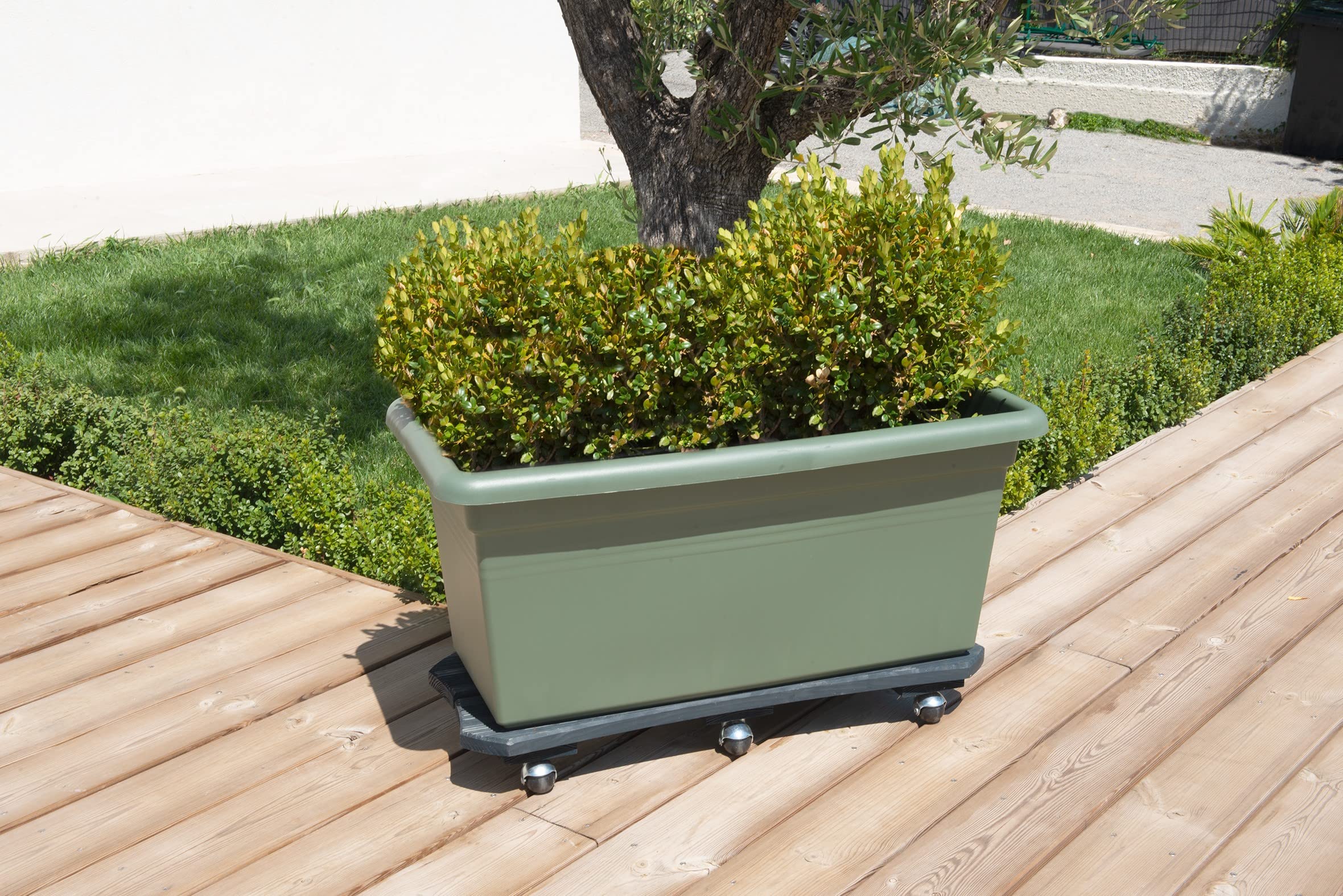 Louis Moulin Roule-Plantes Bois spécial bac 70x30 cm - Anthracite - Origine France Garantie