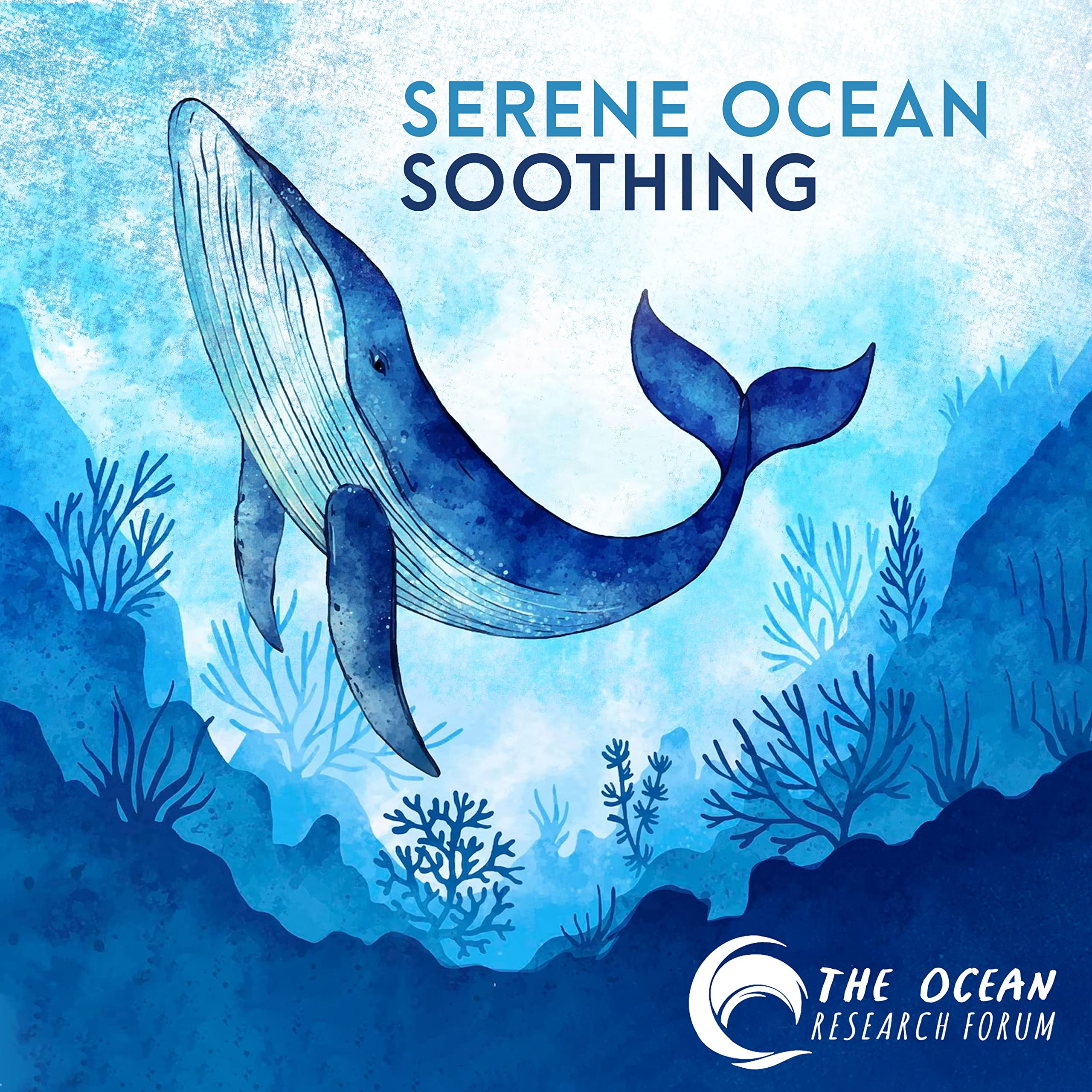 The Ocean Research Forum