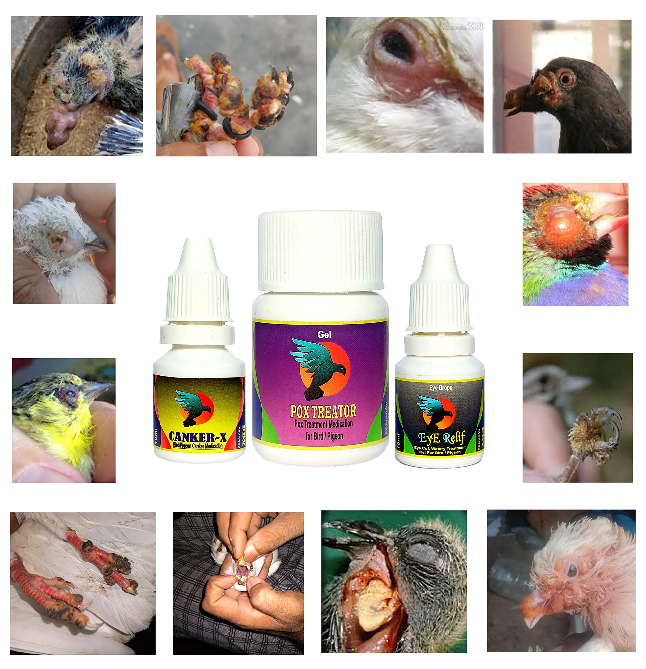 Buy Pigeon & Small Bird POX Medication Complete Combo Pack Cover