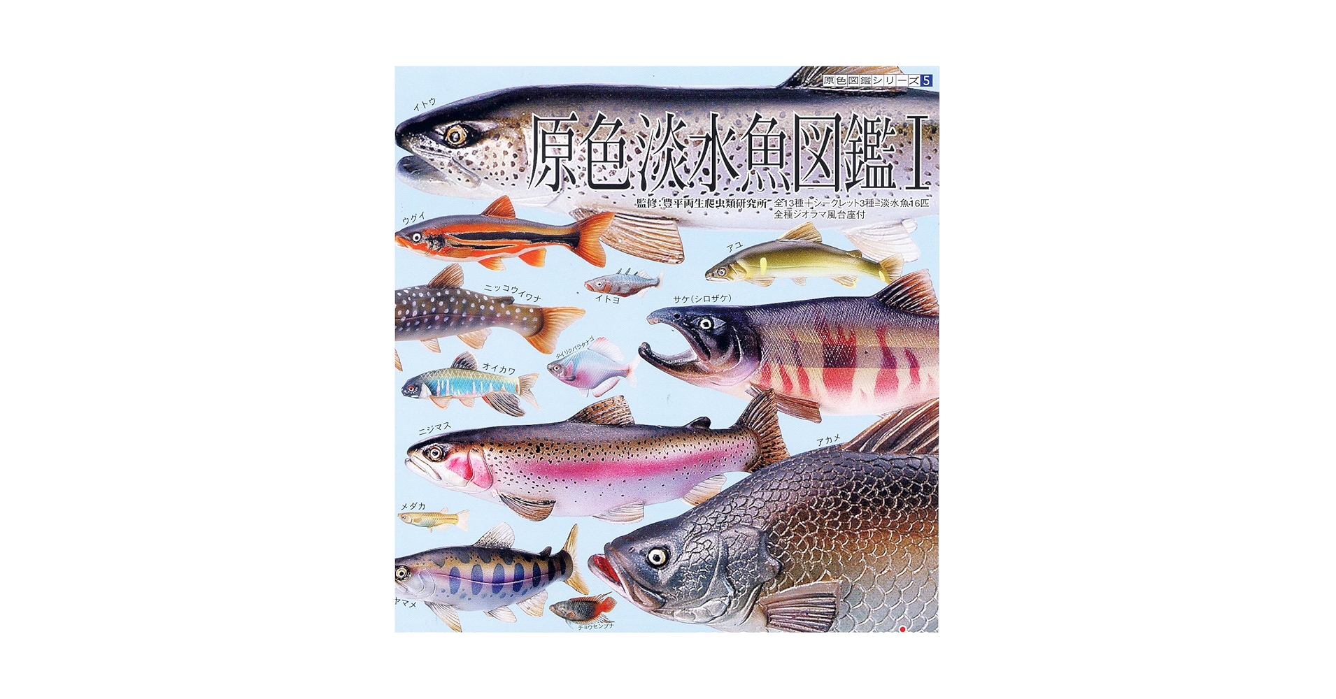 Amazon | 原色 淡水魚図鑑Ⅰ 再版 13種（シークレット3種なし・台座