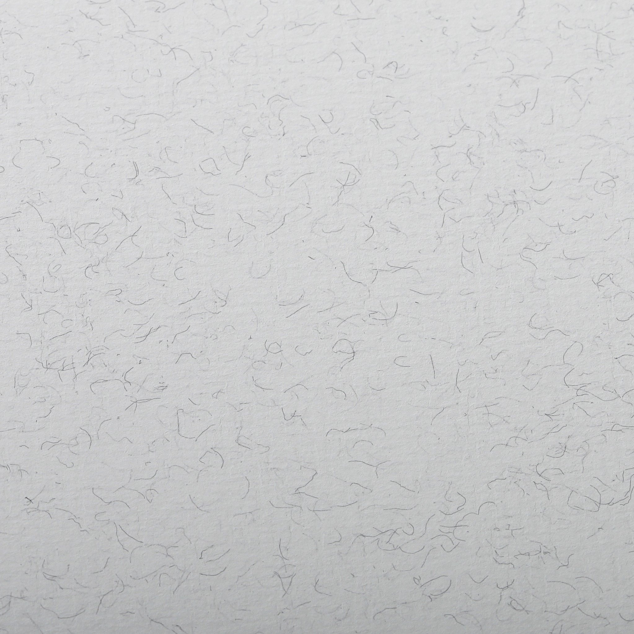 Clairefontaine, Ref 93500C, Ingres Pastel Coloured Paper (Pack of 25 Sheets), 50 x 65cm, 130gsm Drawing Paper, Pale Grey