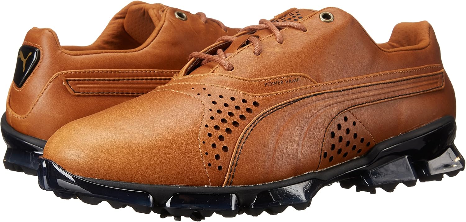 PUMA Men's Titantour Golf Shoe