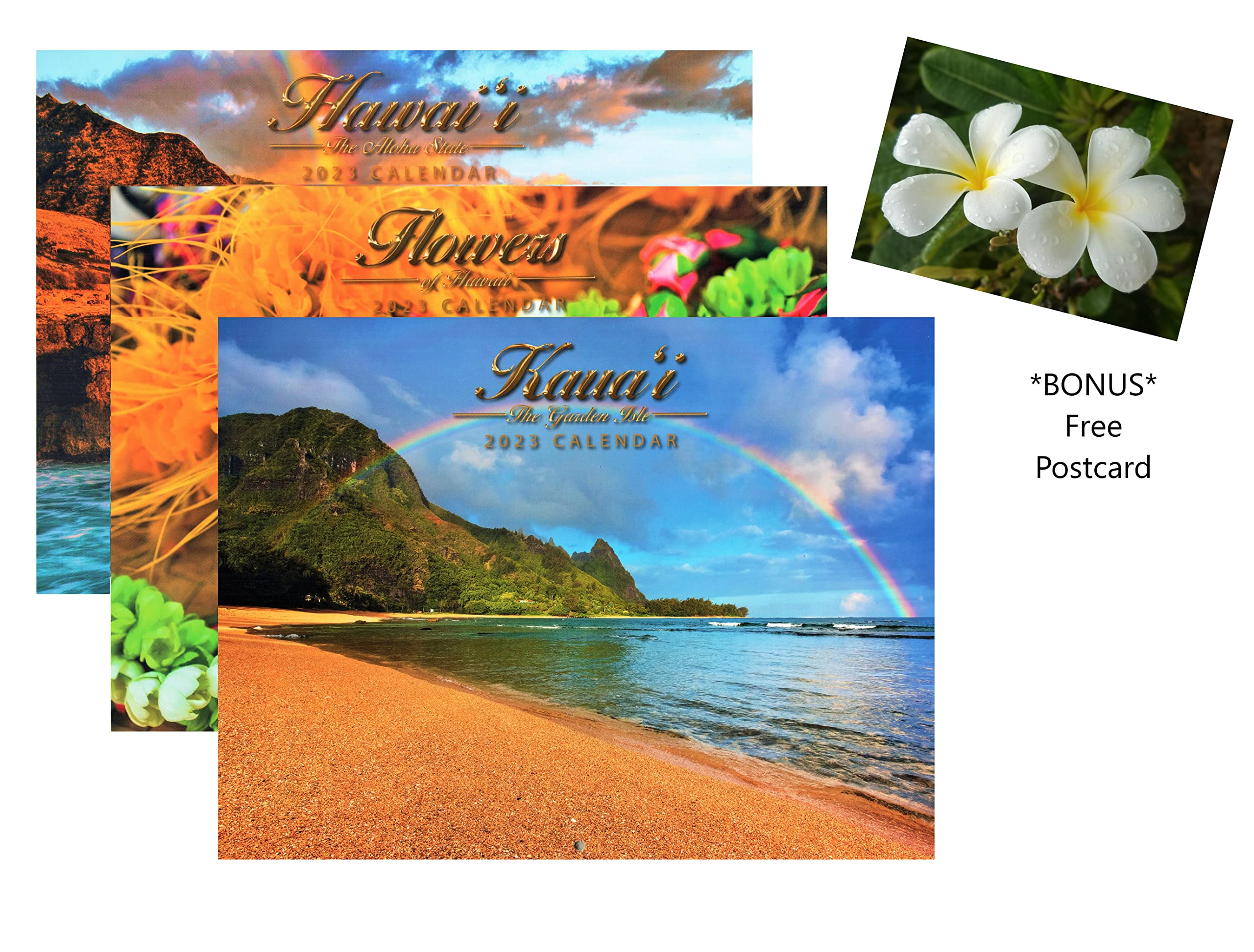 Amazon.com : Longs Drugs 2023 Long's Hawaii 12 Month Hawaiian Calendar +  Bonus Postcard (Big Island) : Office Products