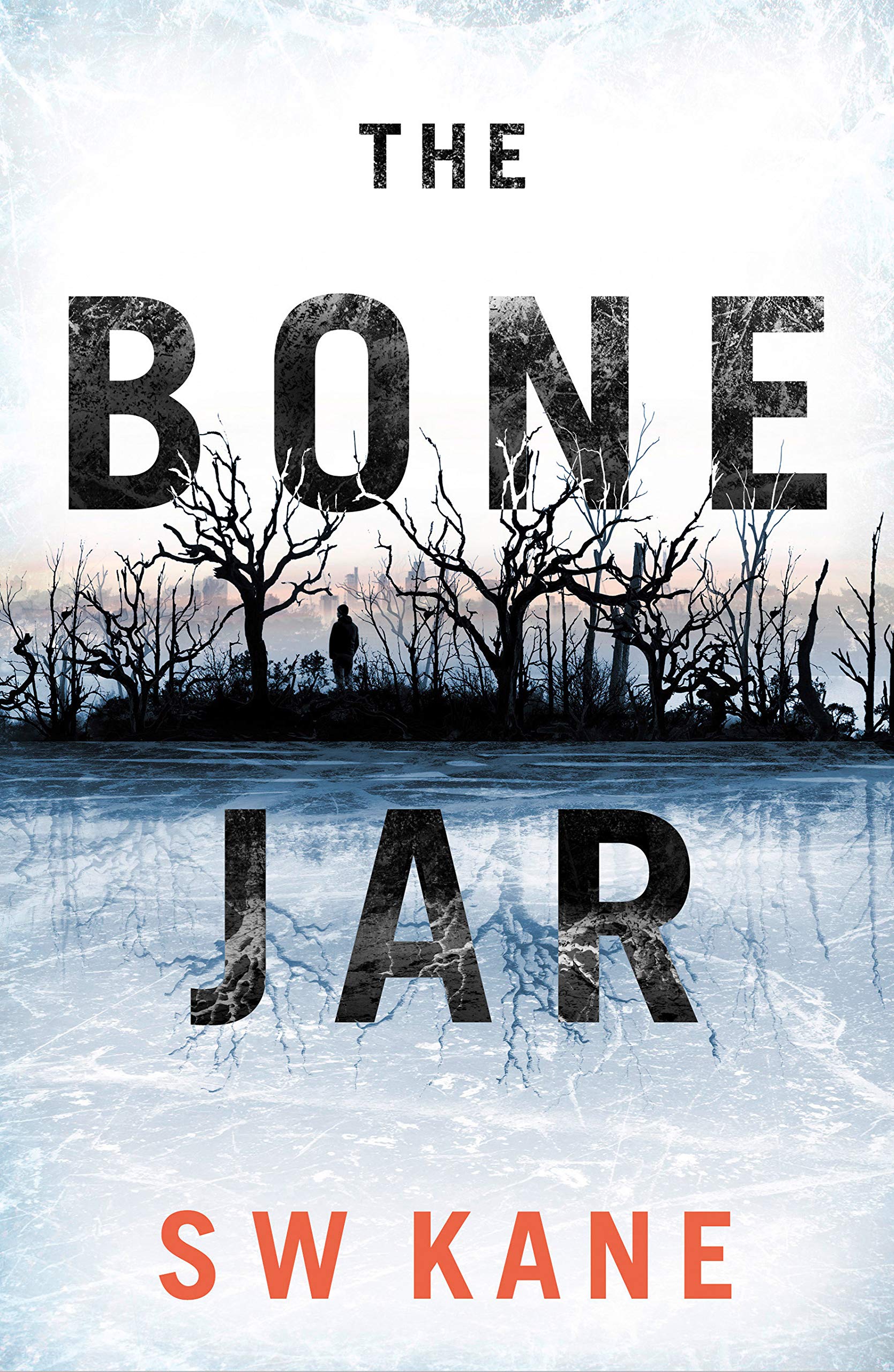 The Bone Jar (Detective Lew Kirby Book 1)