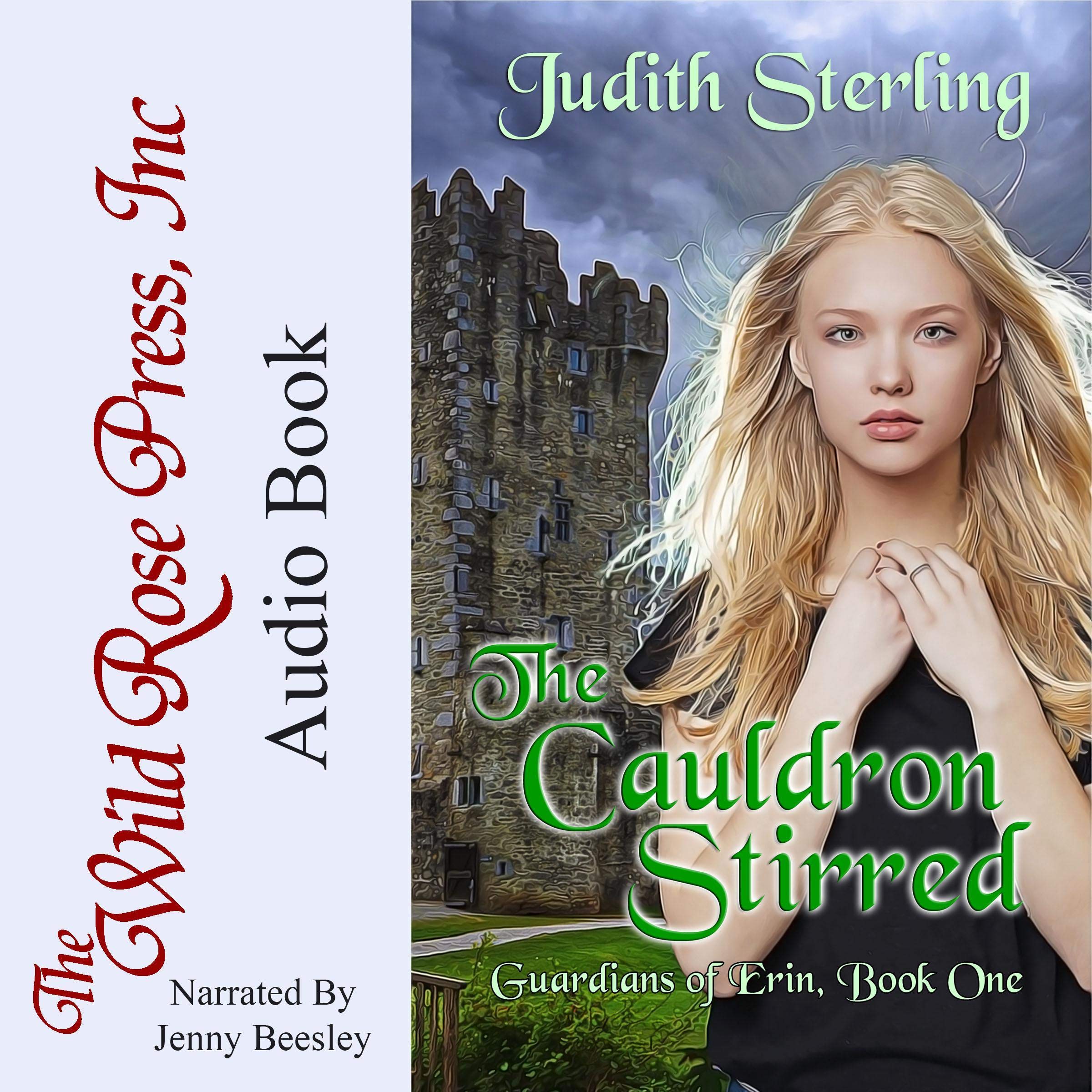Cover art for The Cauldron Stirred