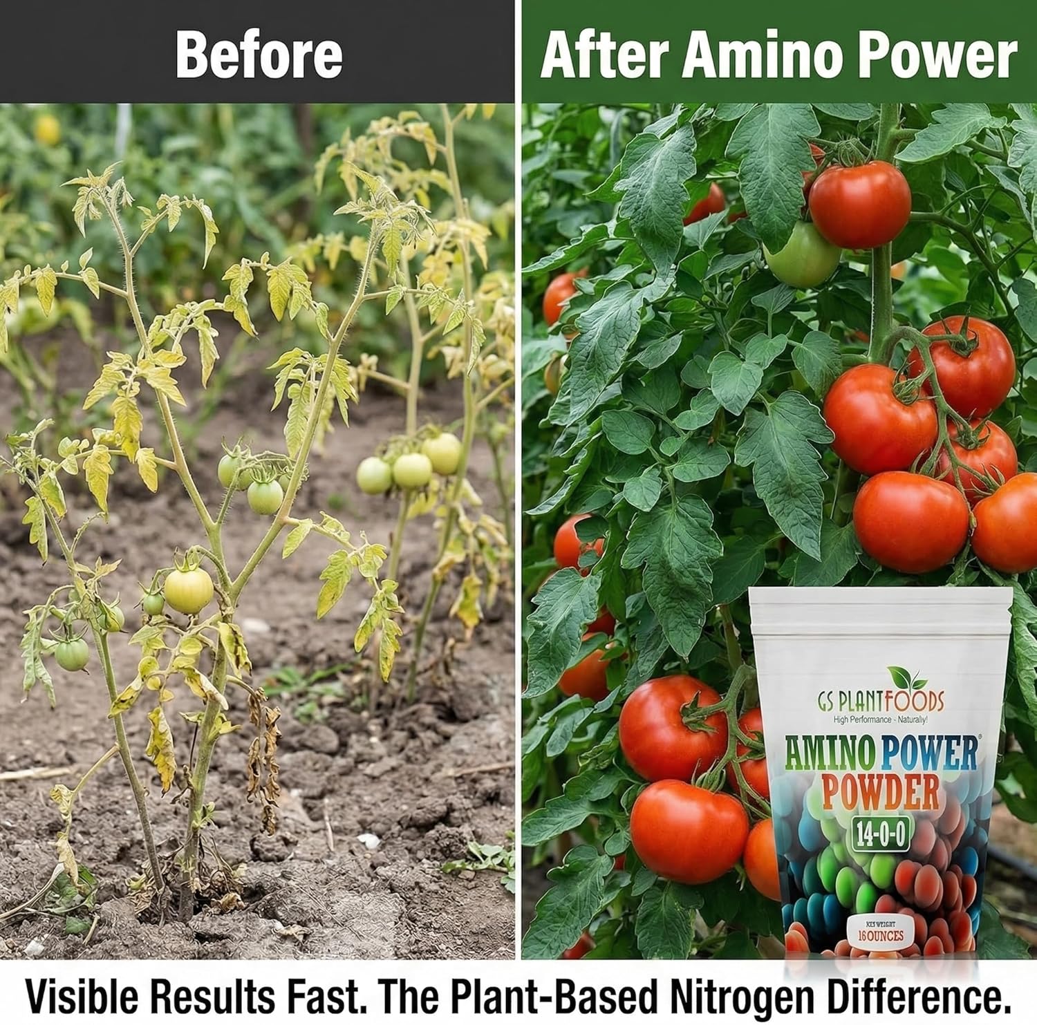 Amino Power Powder Nitrogen Fertilizer - Plant Based High Nitrogen Fertilizer for Plants - All Natural Nitrogen Source and chelating Agent - Suitable for Turf, Vegetables, Fruits & Berries