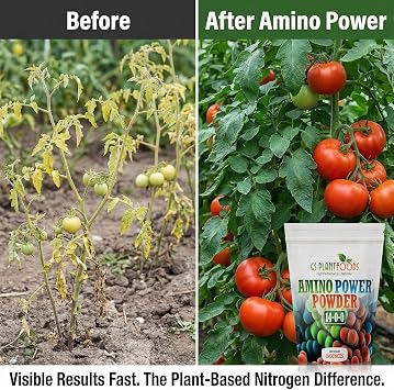 Amino Power Powder Nitrogen Fertilizer - Plant Based High Nitrogen Fertilizer for Plants - All Natural Nitrogen Source and chelating Agent - Suitable for Turf, Vegetables, Fruits & Berries