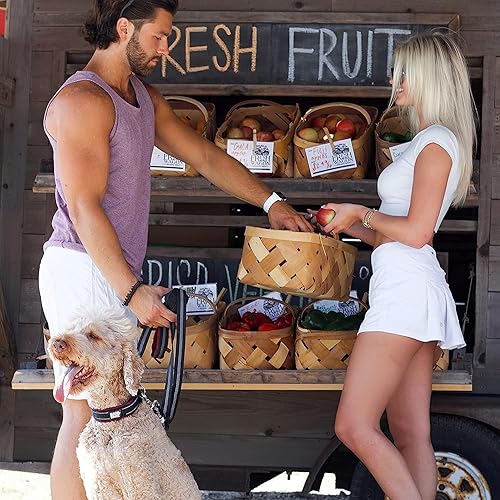 Miniatura 5 de Black Rhino - The Comfort Collar de neopreno ultrasuave acolchado para todas las razas - Resistente ajustable reflectante resistente a la intemperie