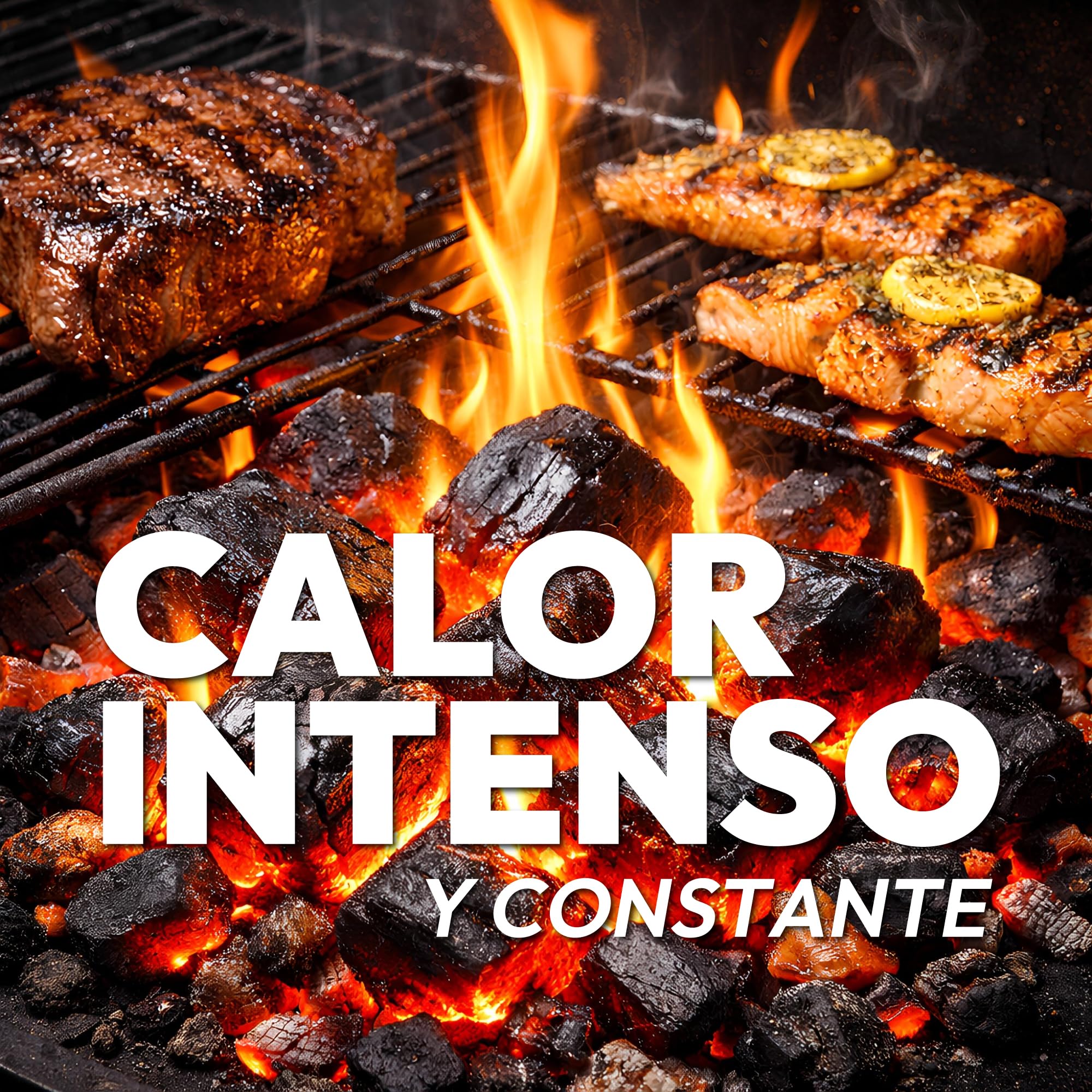 Carbón Vegetal Natural 10 kg para Barbacoas Alto Poder Calorífico Encendido Rápido Brasas Duraderas Trozos Grandes Bajo Humo Ideal para Parrillas y Asados