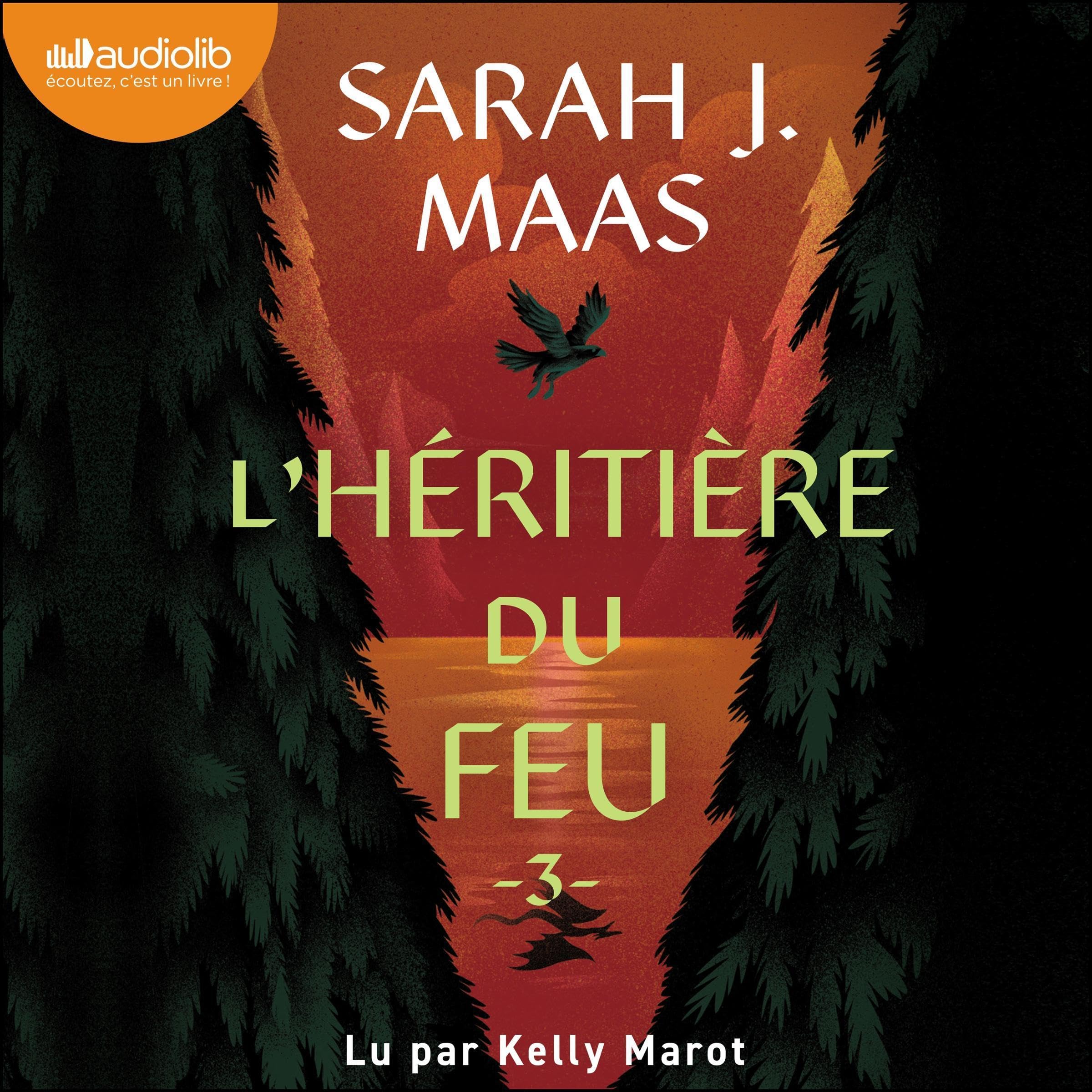 Cover art for L'Héritière du Feu