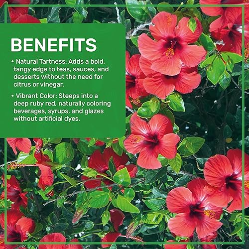 Miniatura 6 de Flores orgánicas de hibisco de 1 libra a granel, 100% puras, cortadas y tamizadas, sin gluten, sin OMG, no irradiadas, sin cafeína, perfectas para