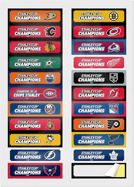The Sports Vault NHL 14-inch Stanley Cup Champions Trophy Replica for Dad - Best Gifts for Men, Hockey Fans, Players, Coaches & Collectors