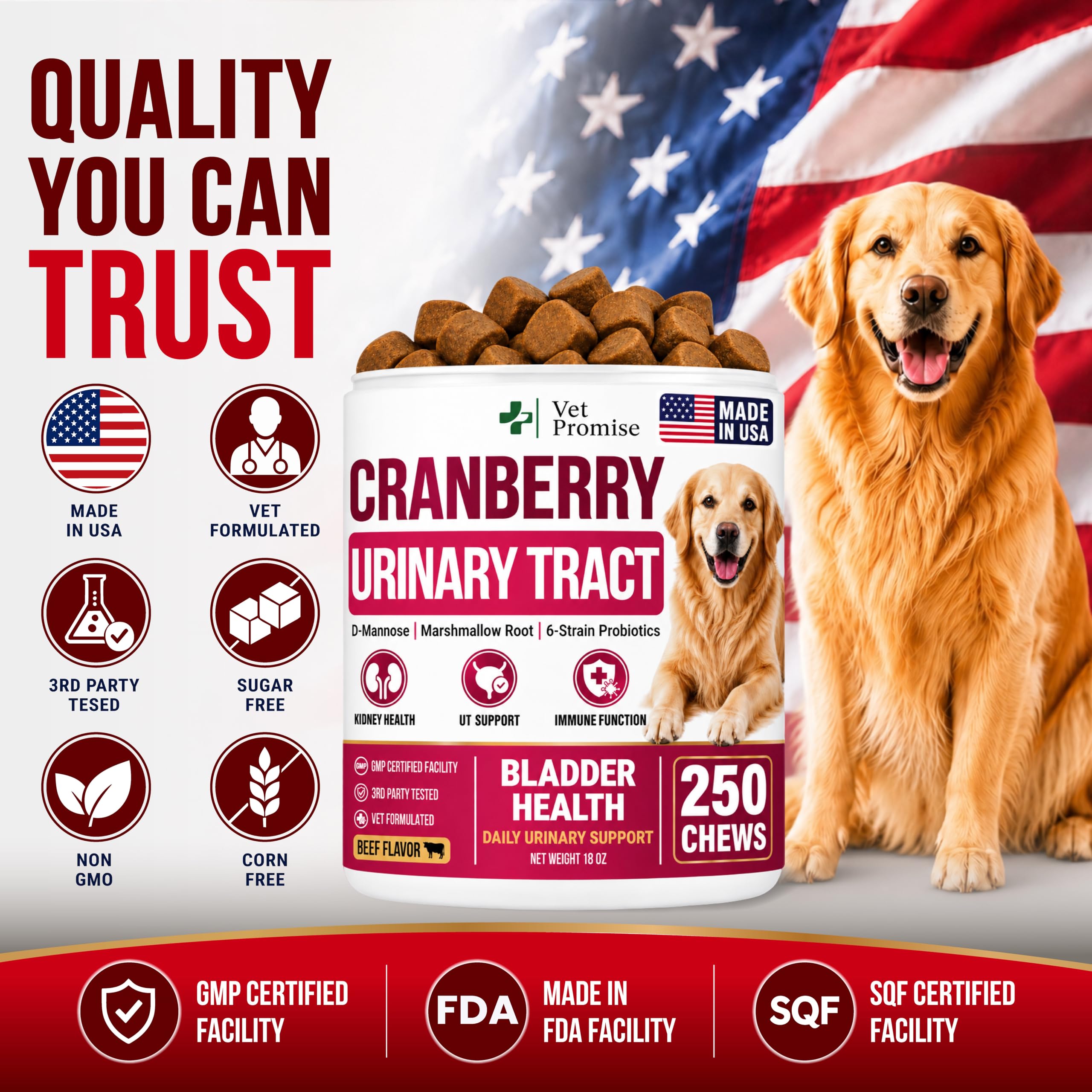 Dog UTI Treatment - 250 Chews - Cranberry Supplement for Dogs Multivitamin — Amazon image 5