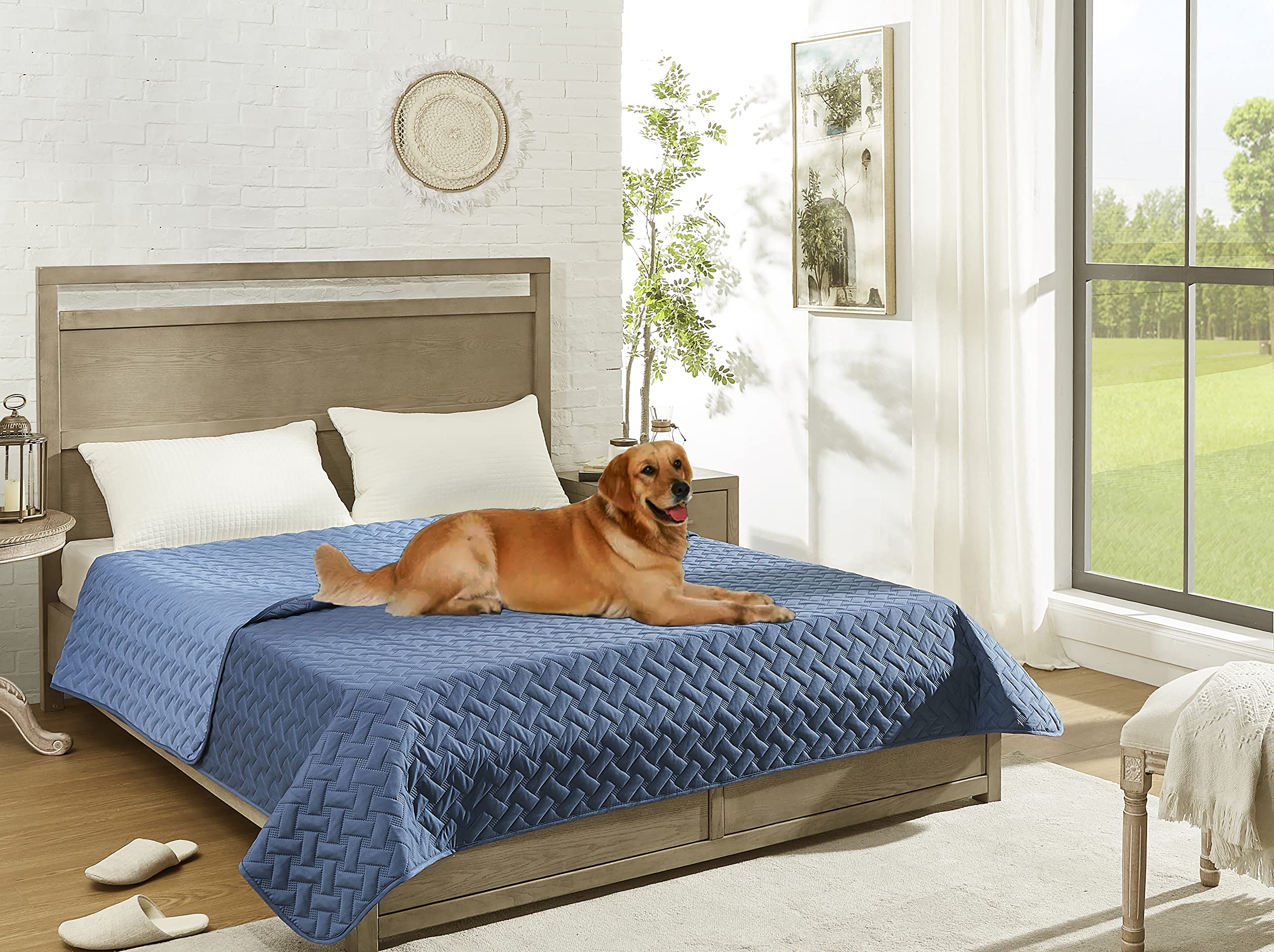 Amazon.com : gogobunny 100% Double Sided Waterproof Dog Blanket