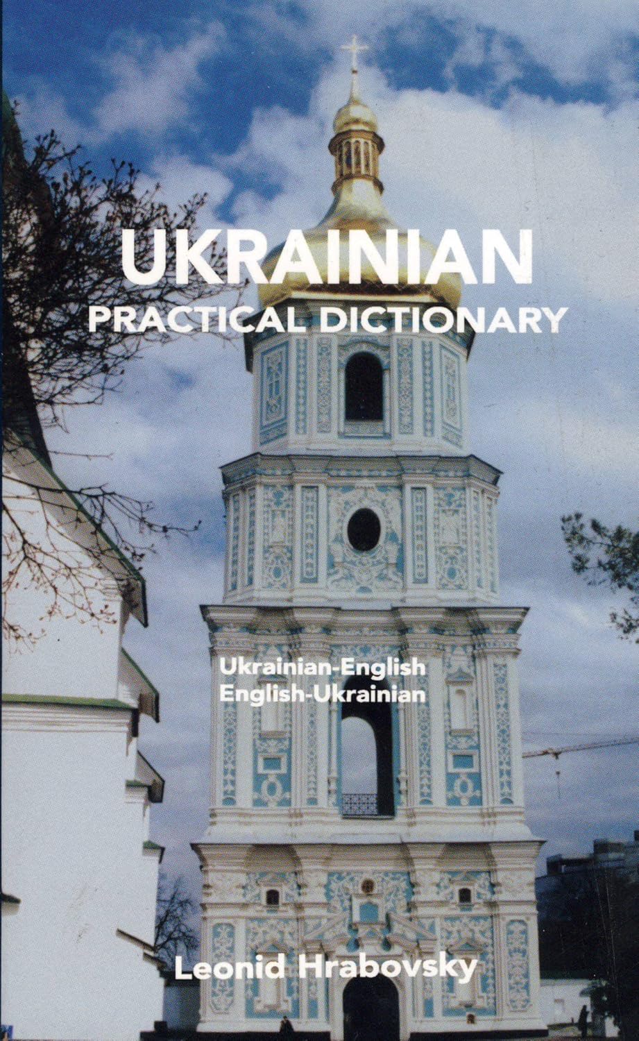 Buy UkrainianEnglish/EnglishUkrainian Practical Dictionary Book