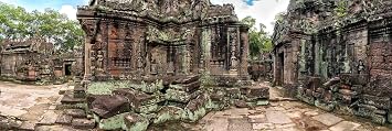 Reptile Habitat Background; Six Ladies of Ta Som Temple, for 48Lx24Wx18H Backside